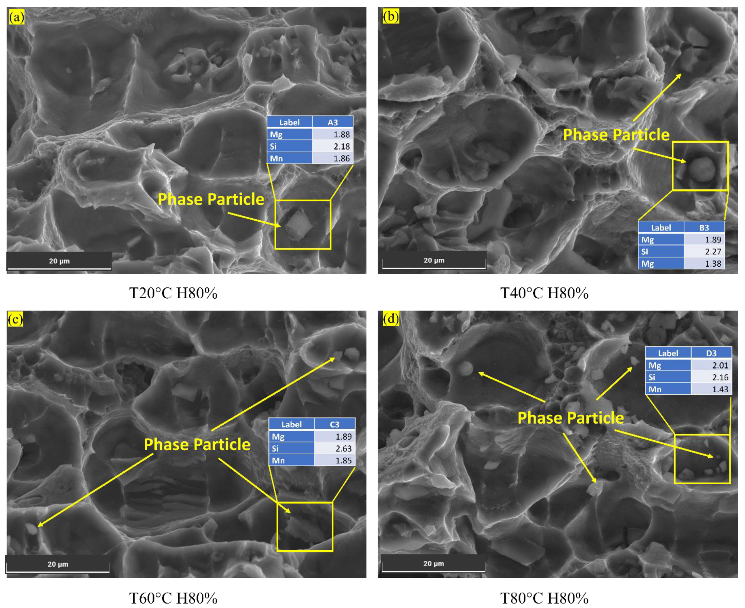Materials 16 06833 g007