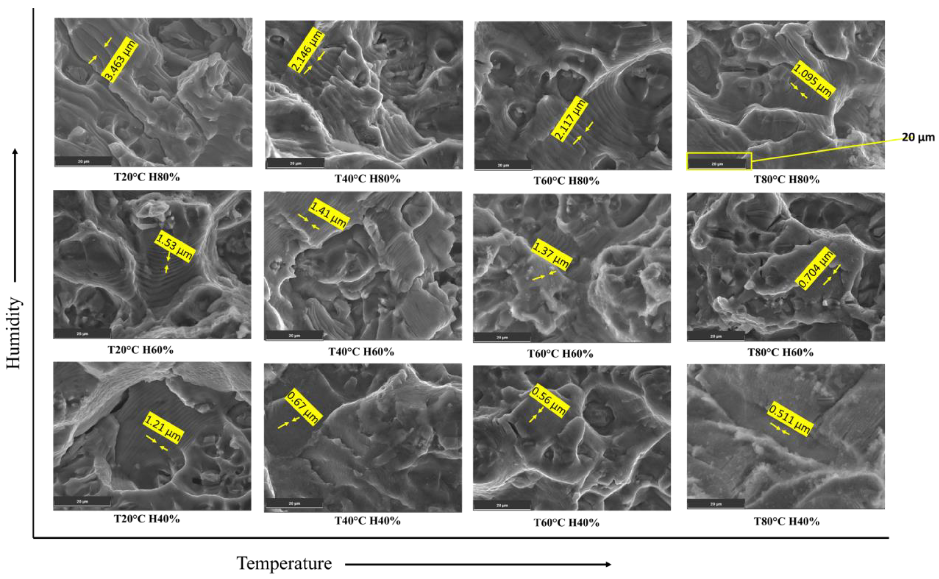 Materials 16 06833 g012