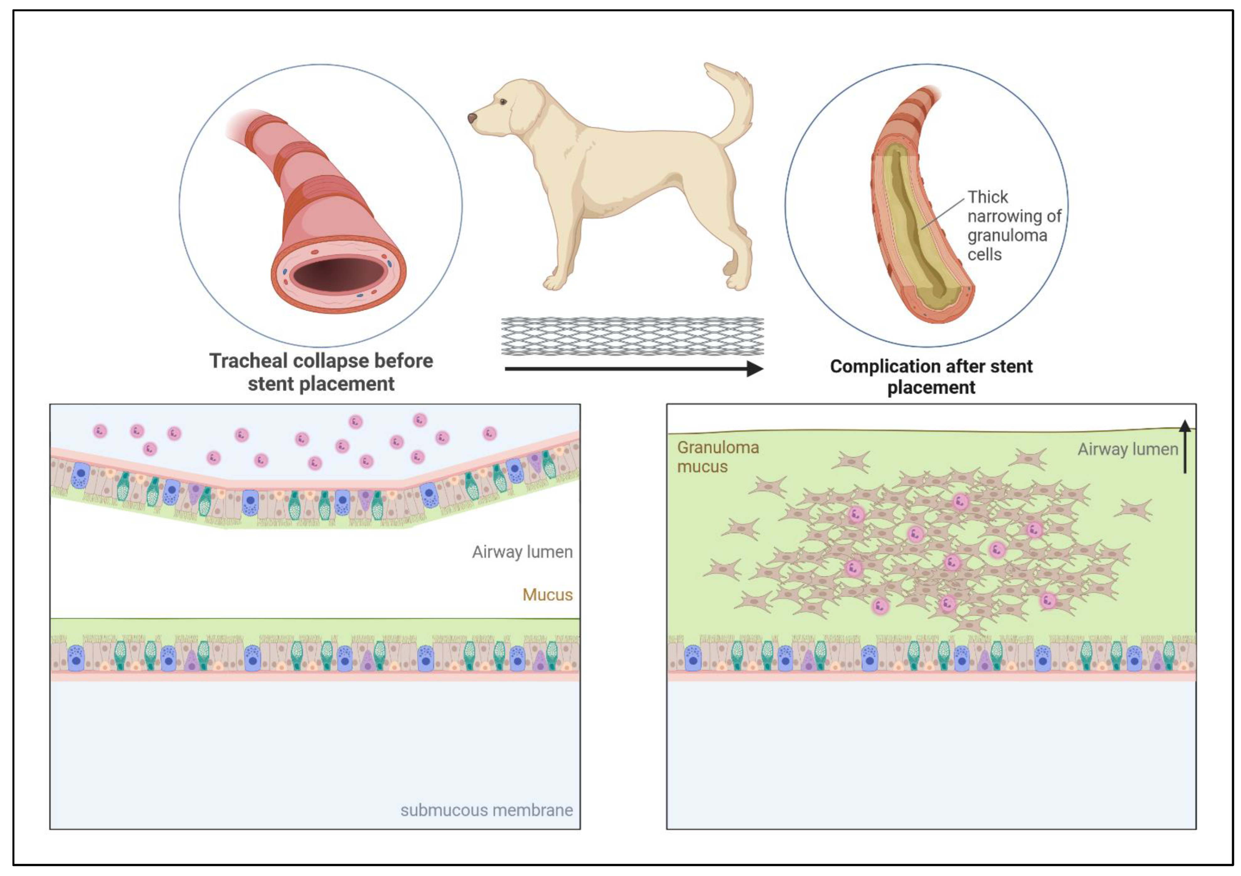 Materials 16 06834 g001