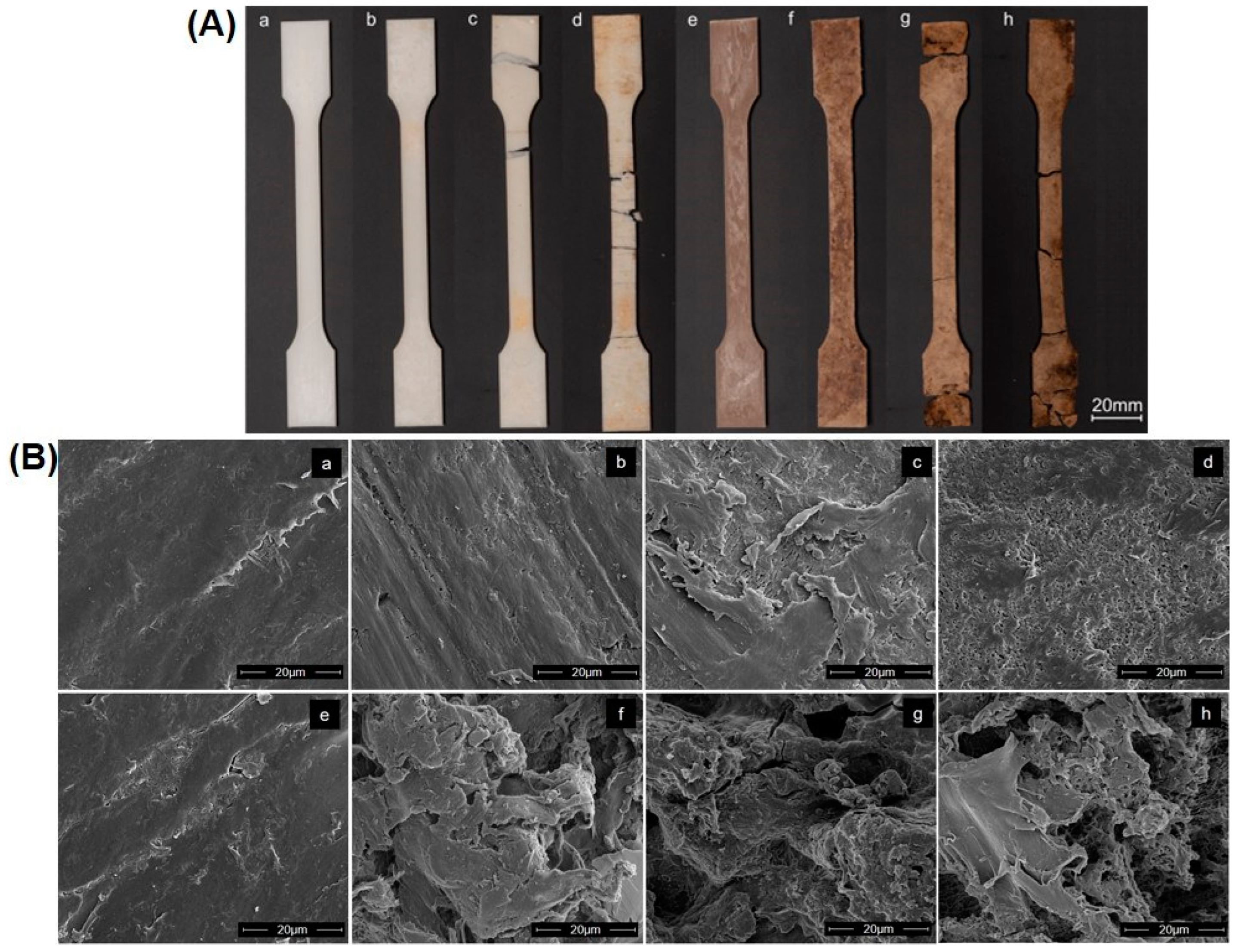 Materials 16 06843 g004