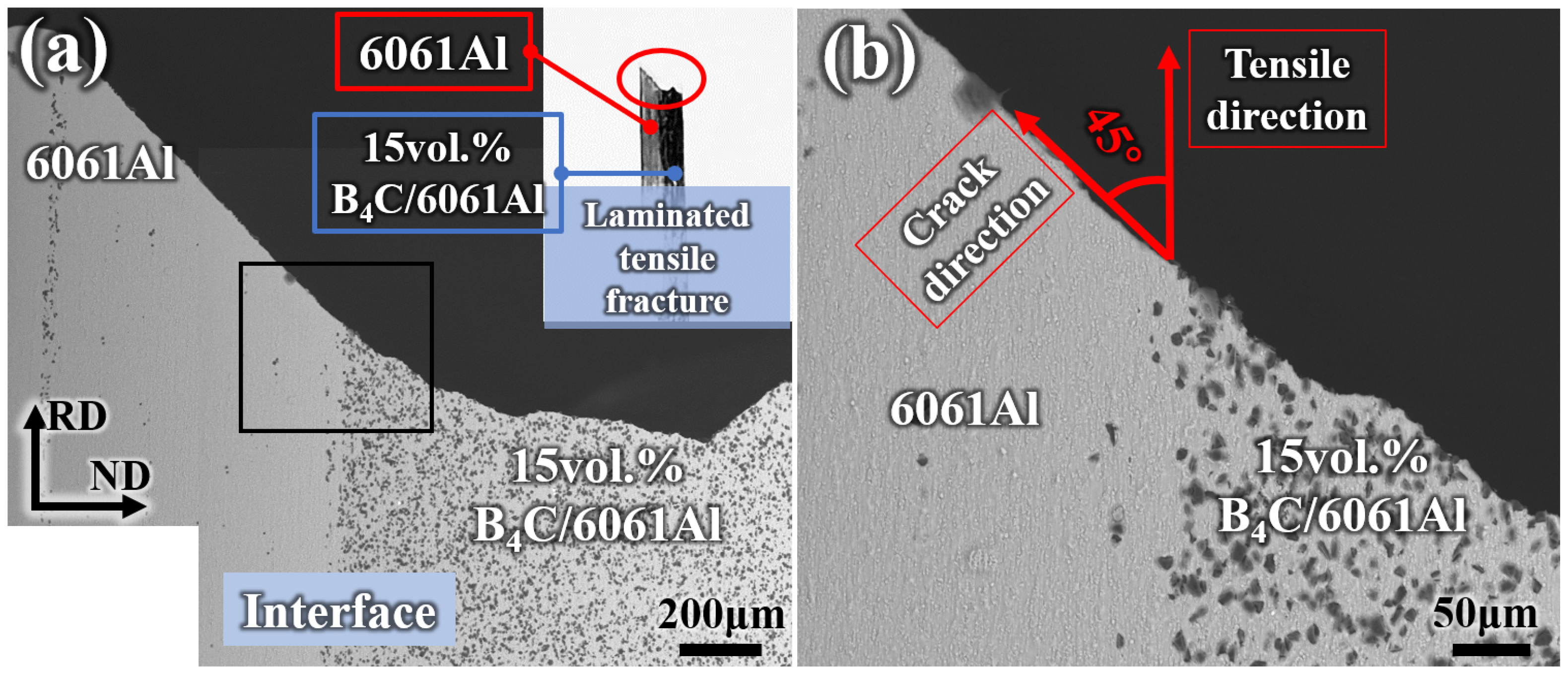 Materials 16 06847 g017