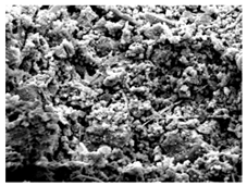 Materials 16 06850 i002