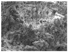 Materials 16 06850 i003