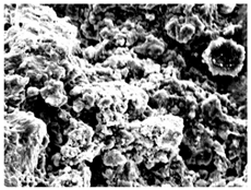 Materials 16 06850 i004