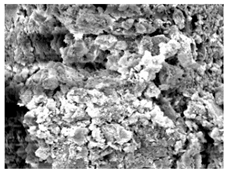 Materials 16 06850 i009