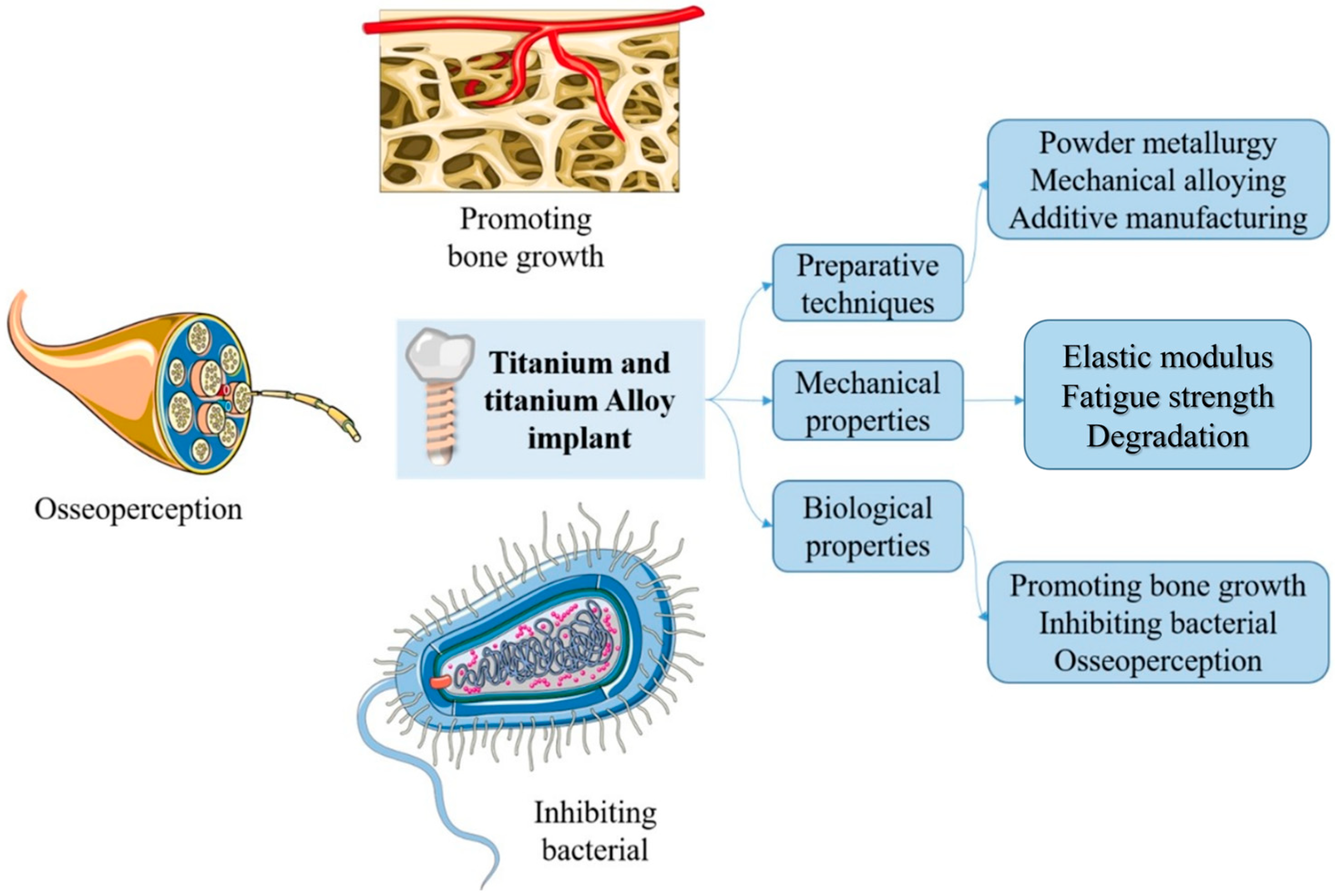 Materials 16 06860 g001