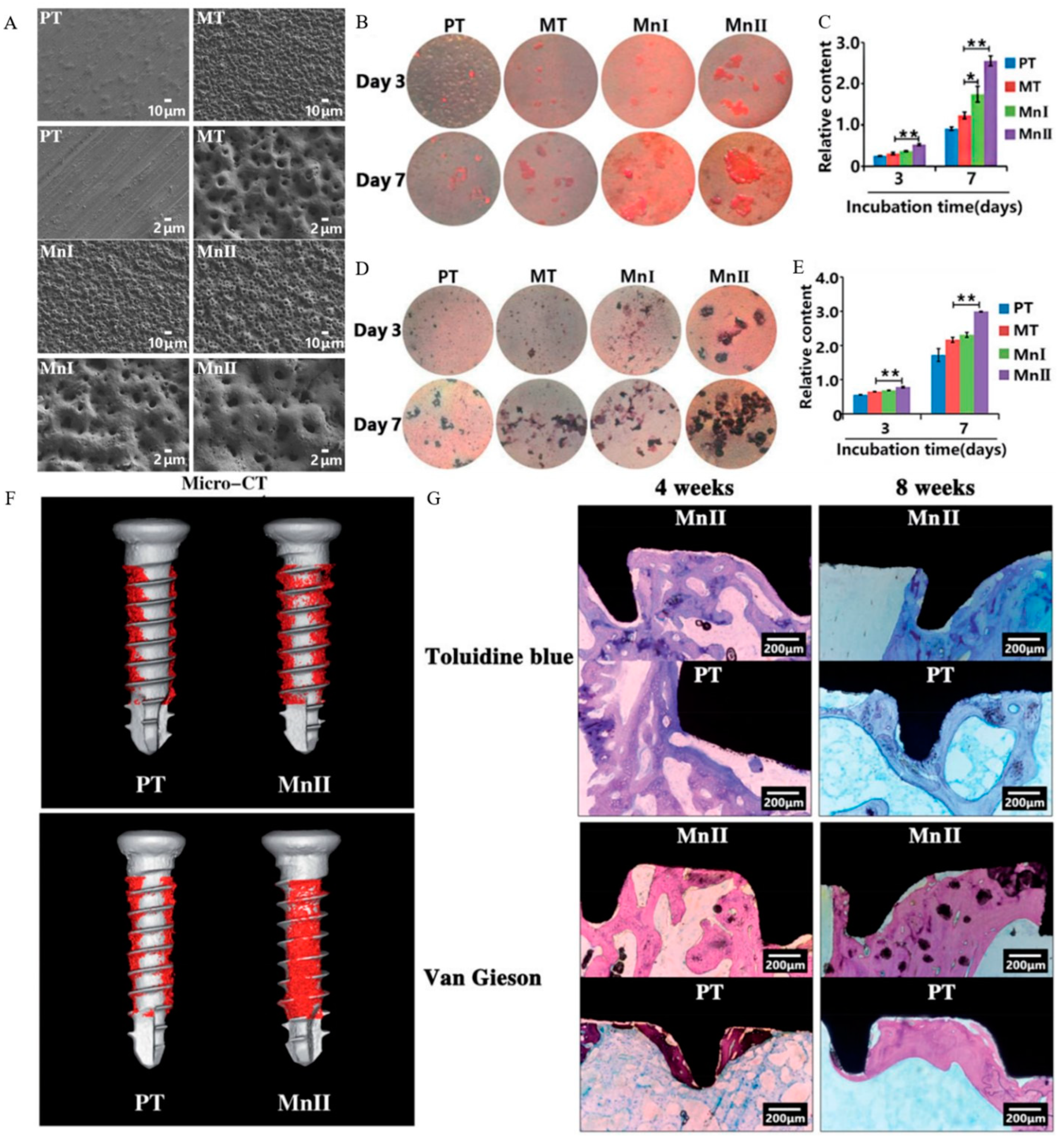 Materials 16 06860 g005