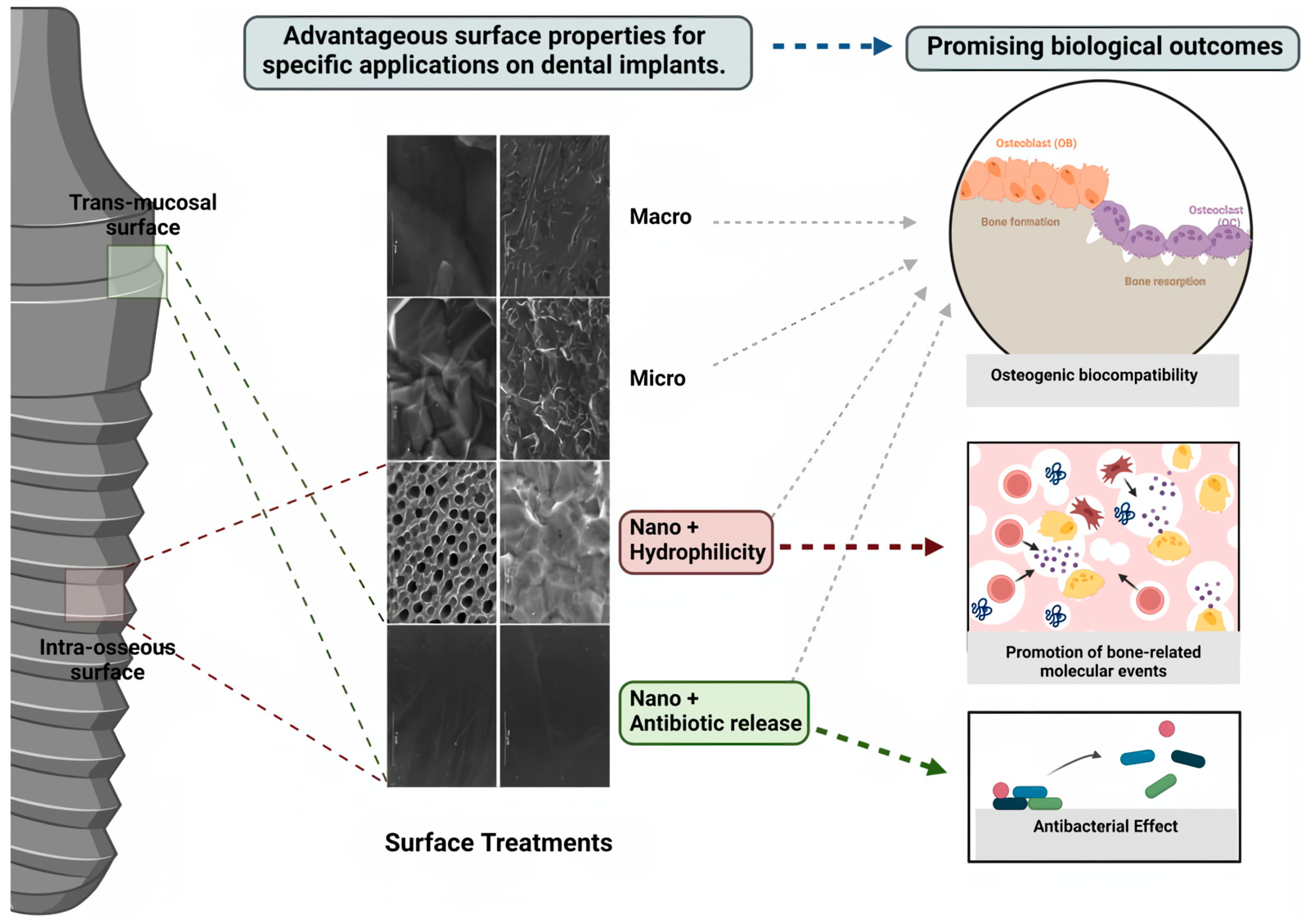 Materials 16 06860 g006
