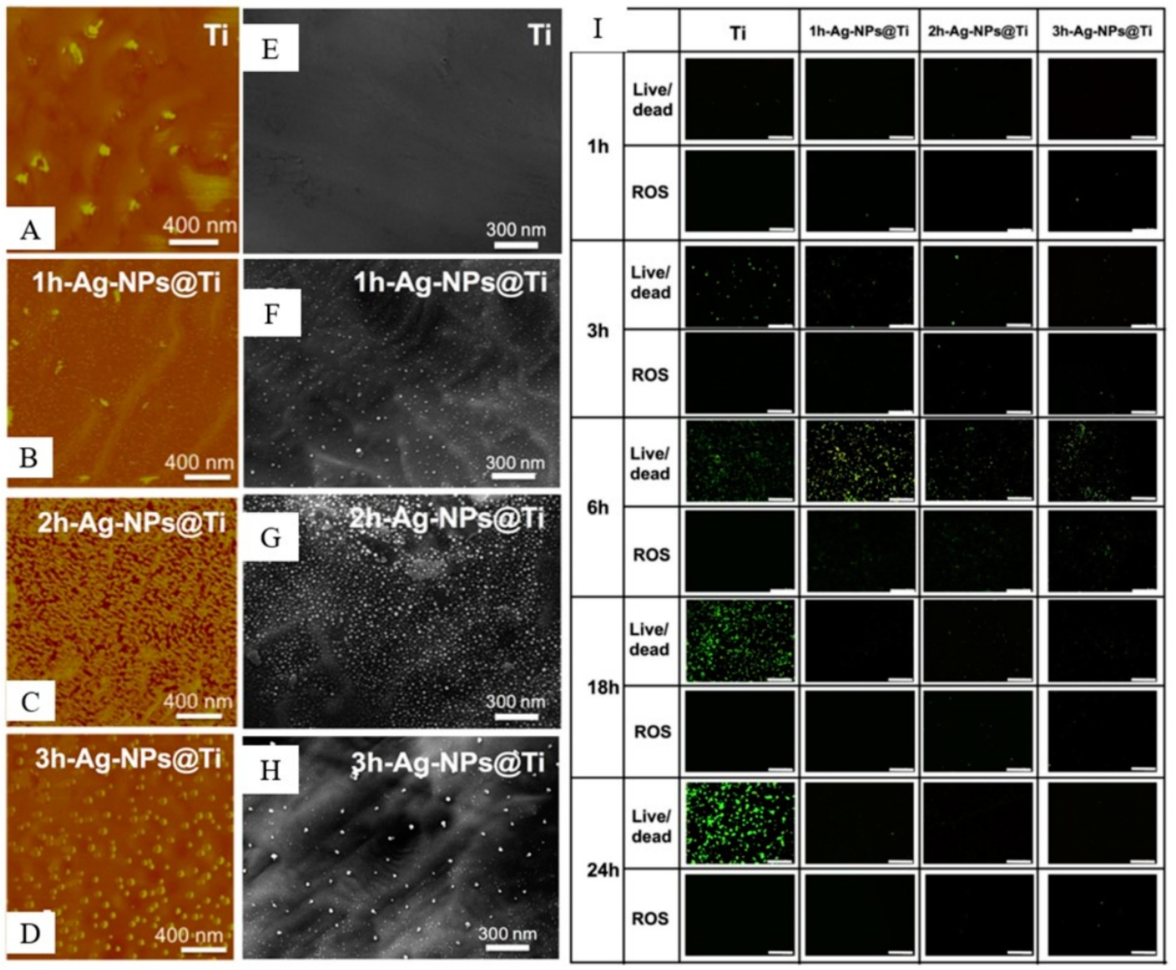 Materials 16 06860 g007