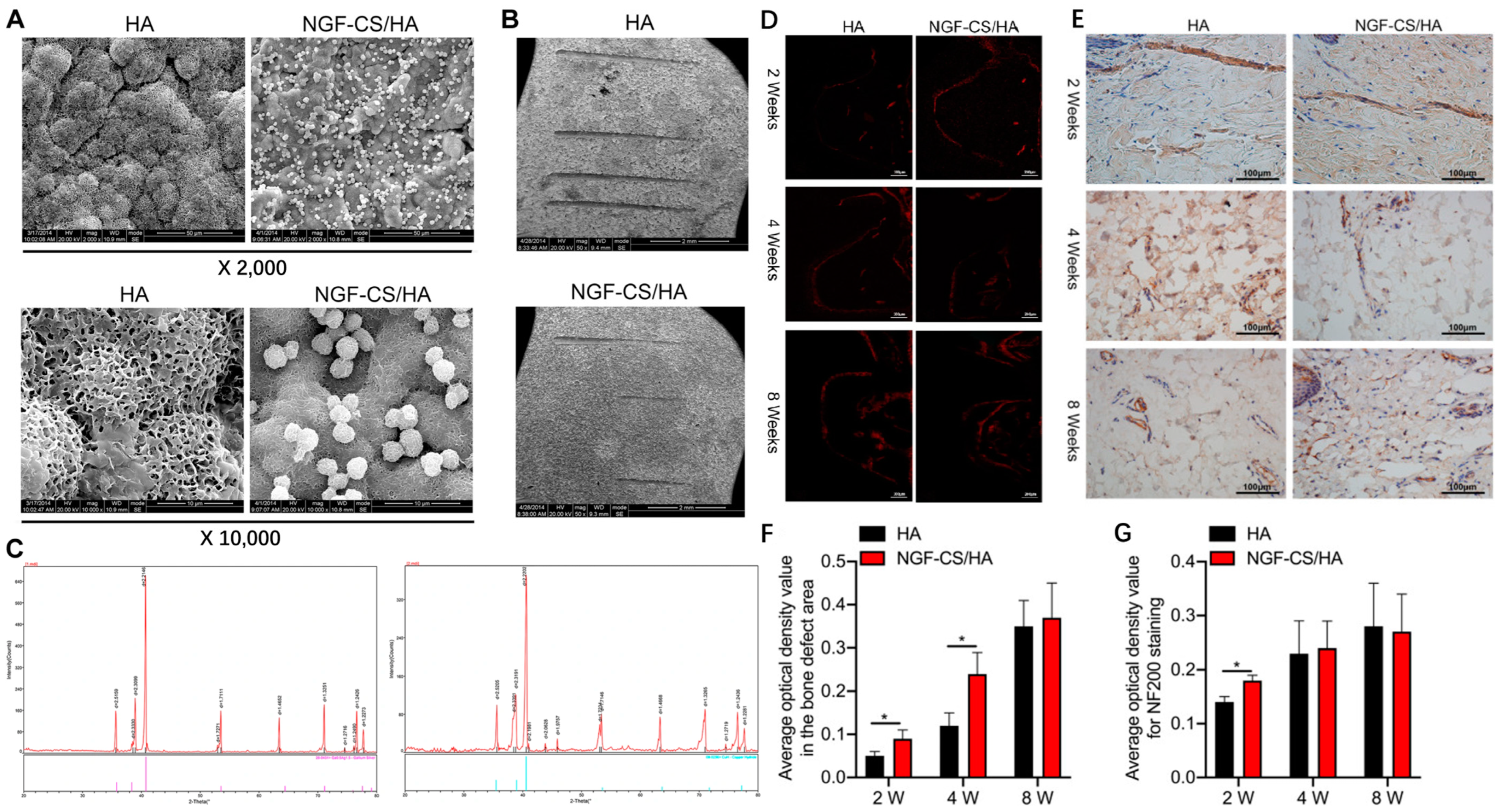 Materials 16 06860 g008