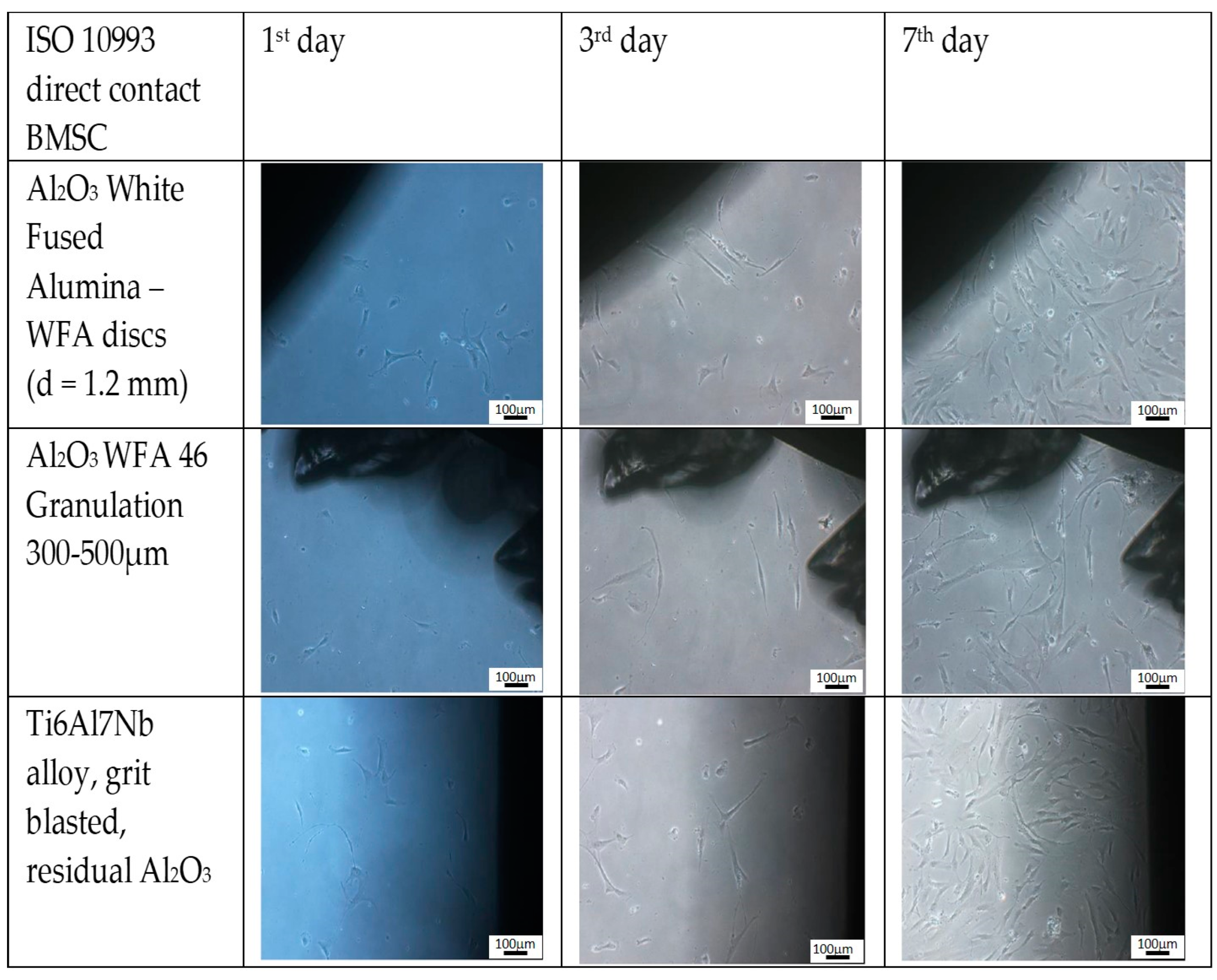 Materials 16 06867 g004