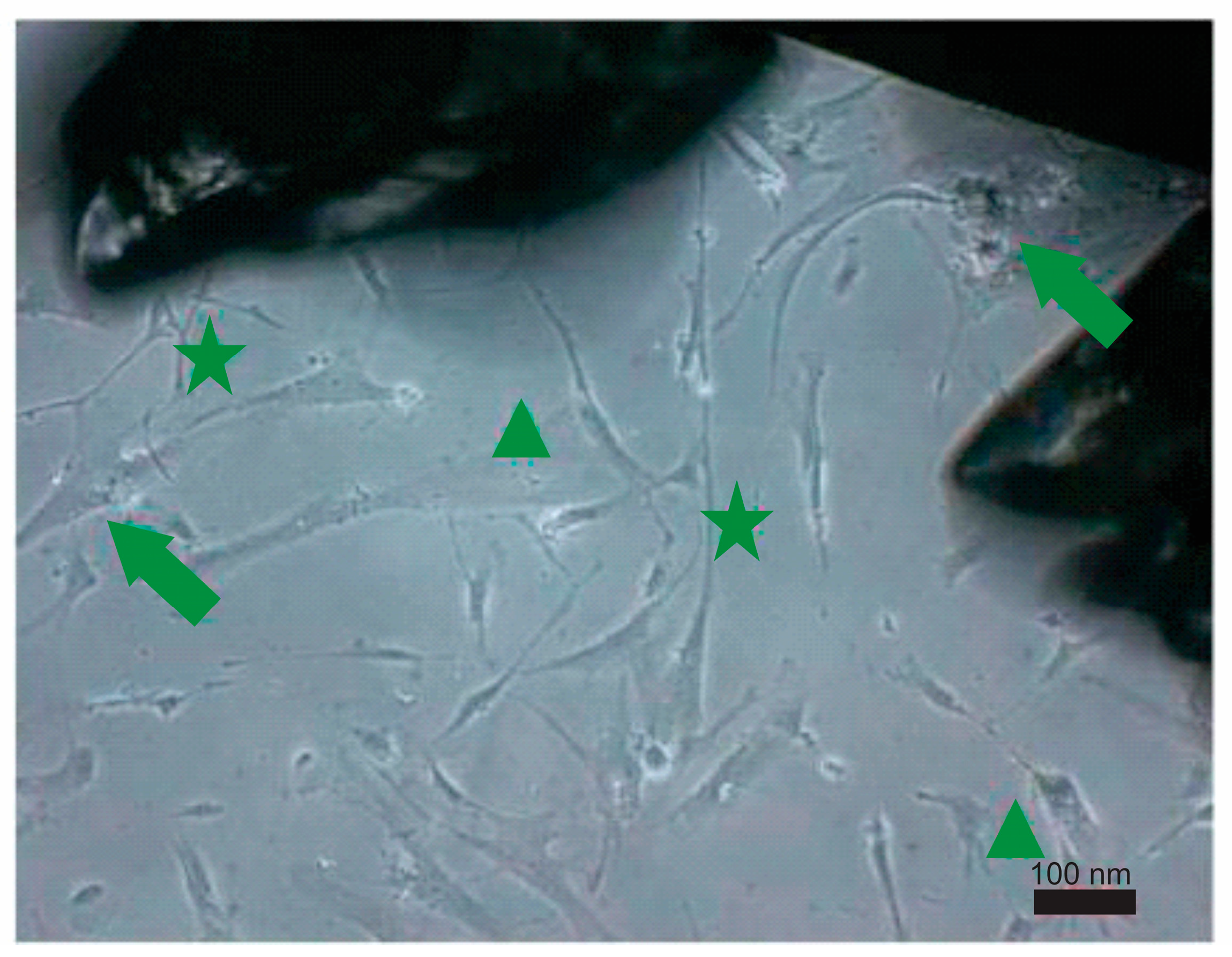 Materials 16 06867 g005