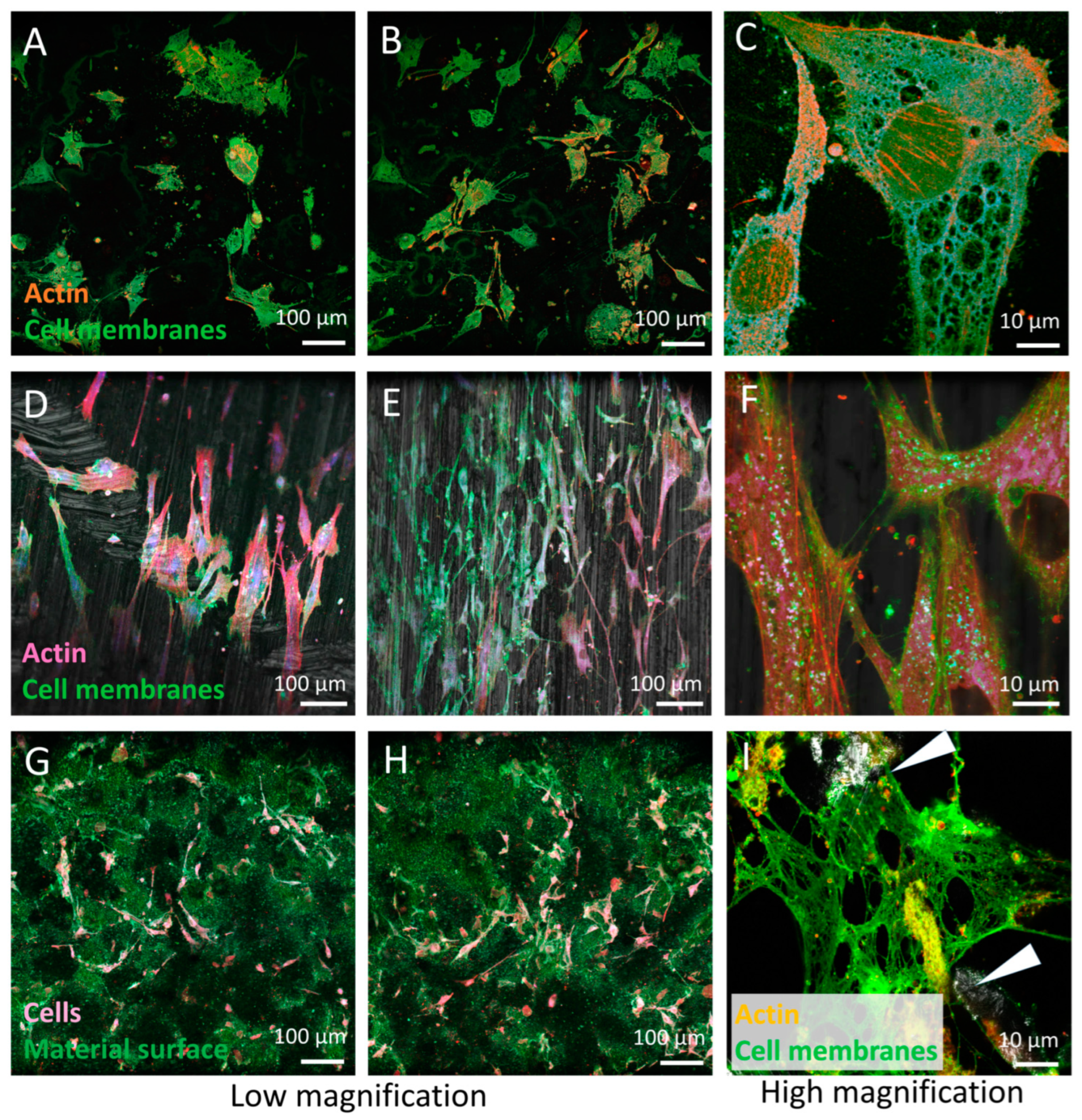 Materials 16 06867 g007