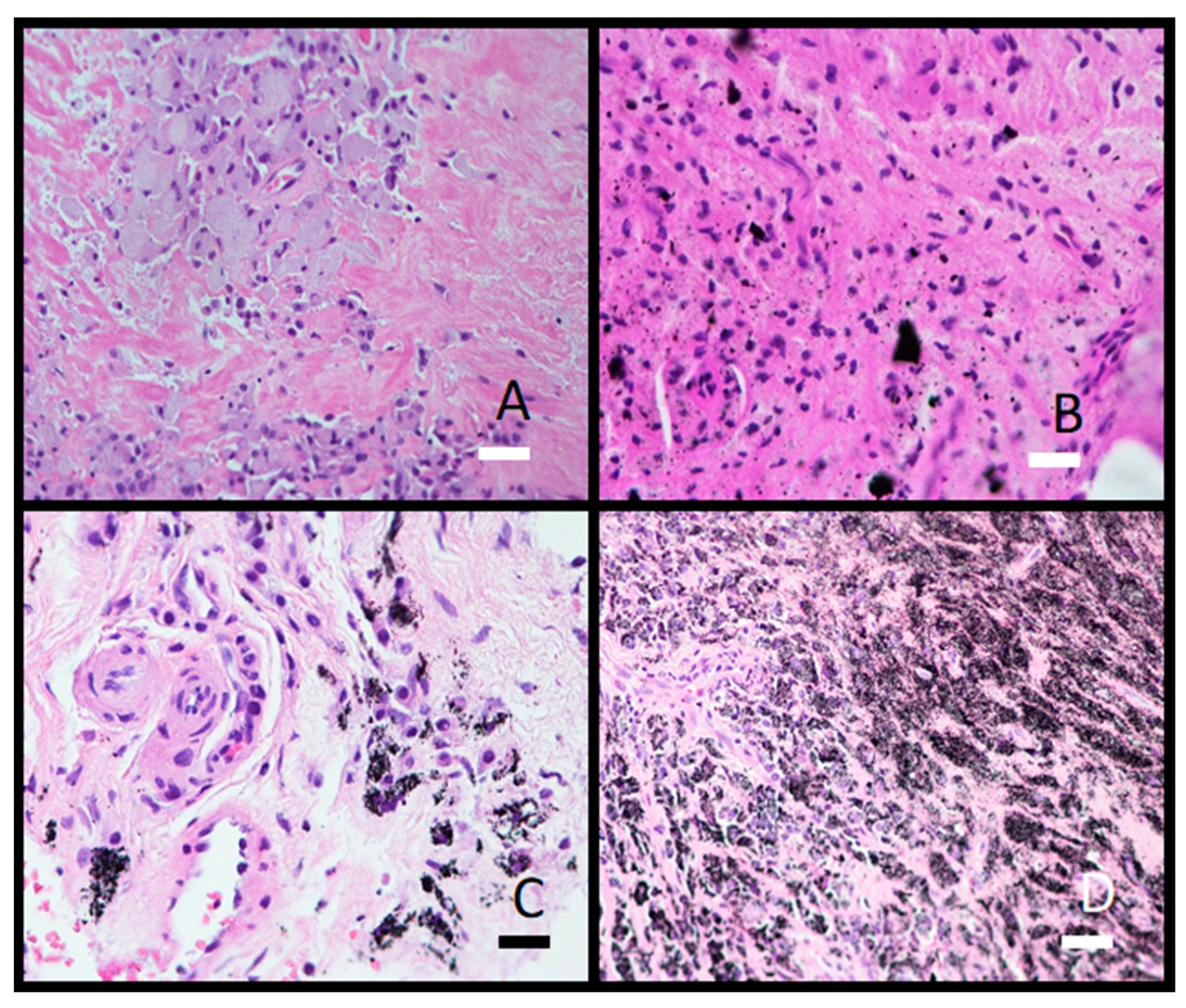 Materials 16 06867 g009