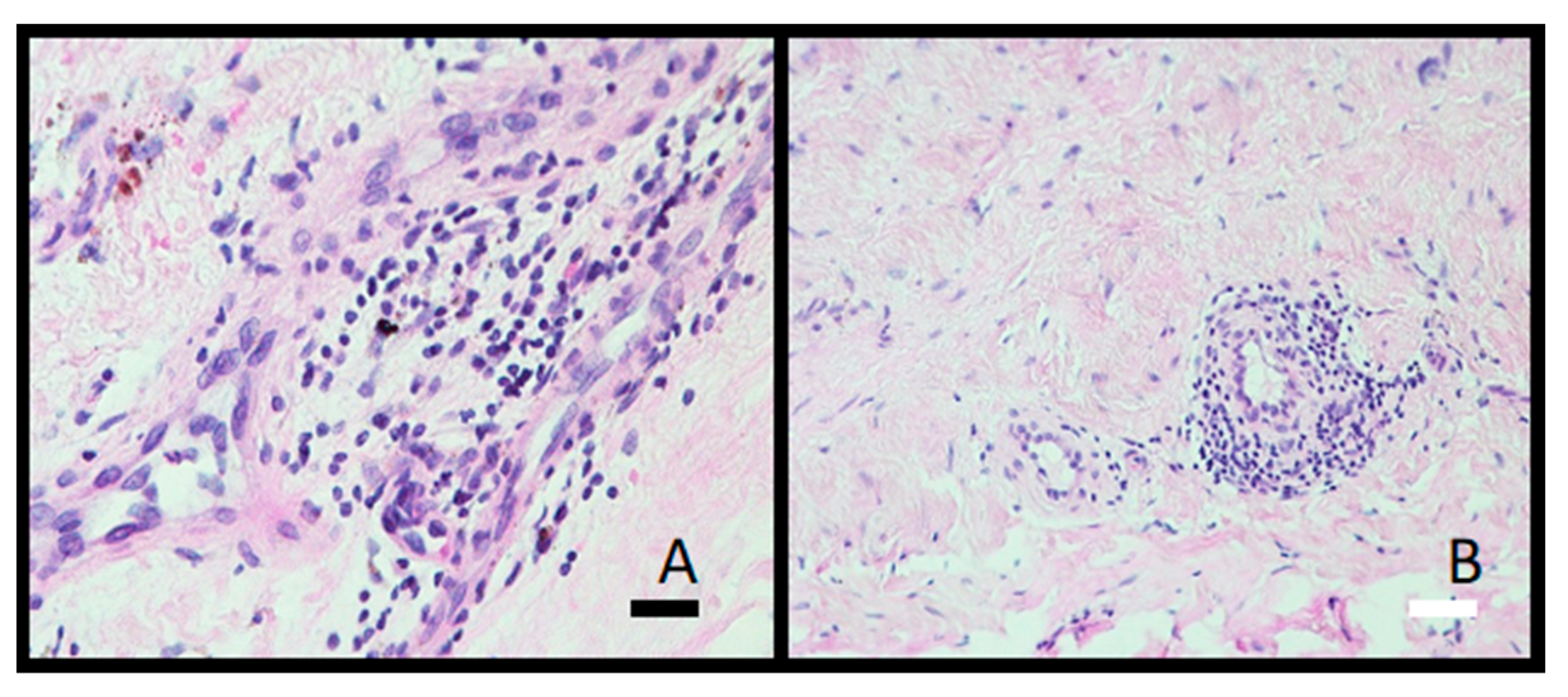 Materials 16 06867 g010