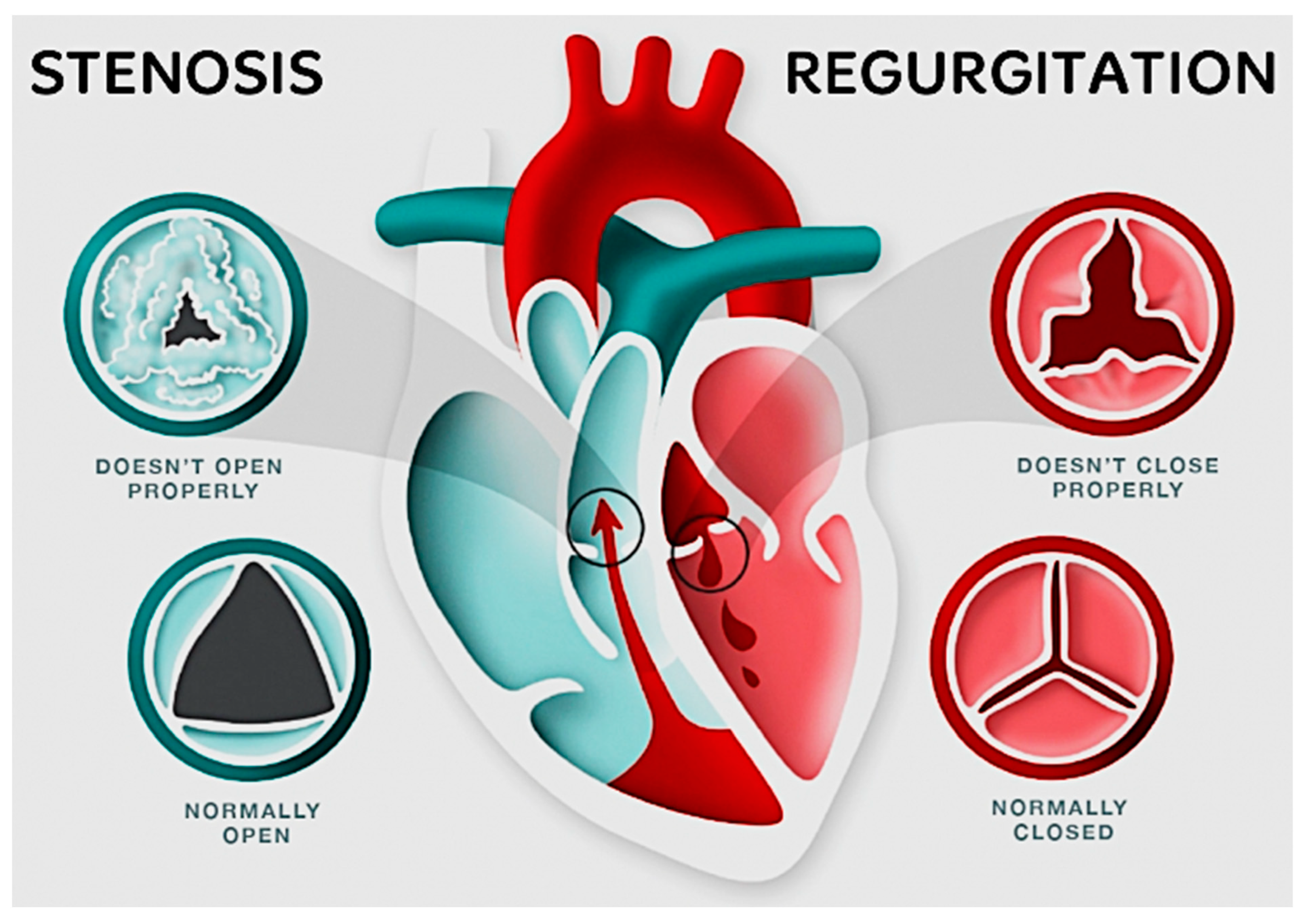 Materials 16 06881 g004