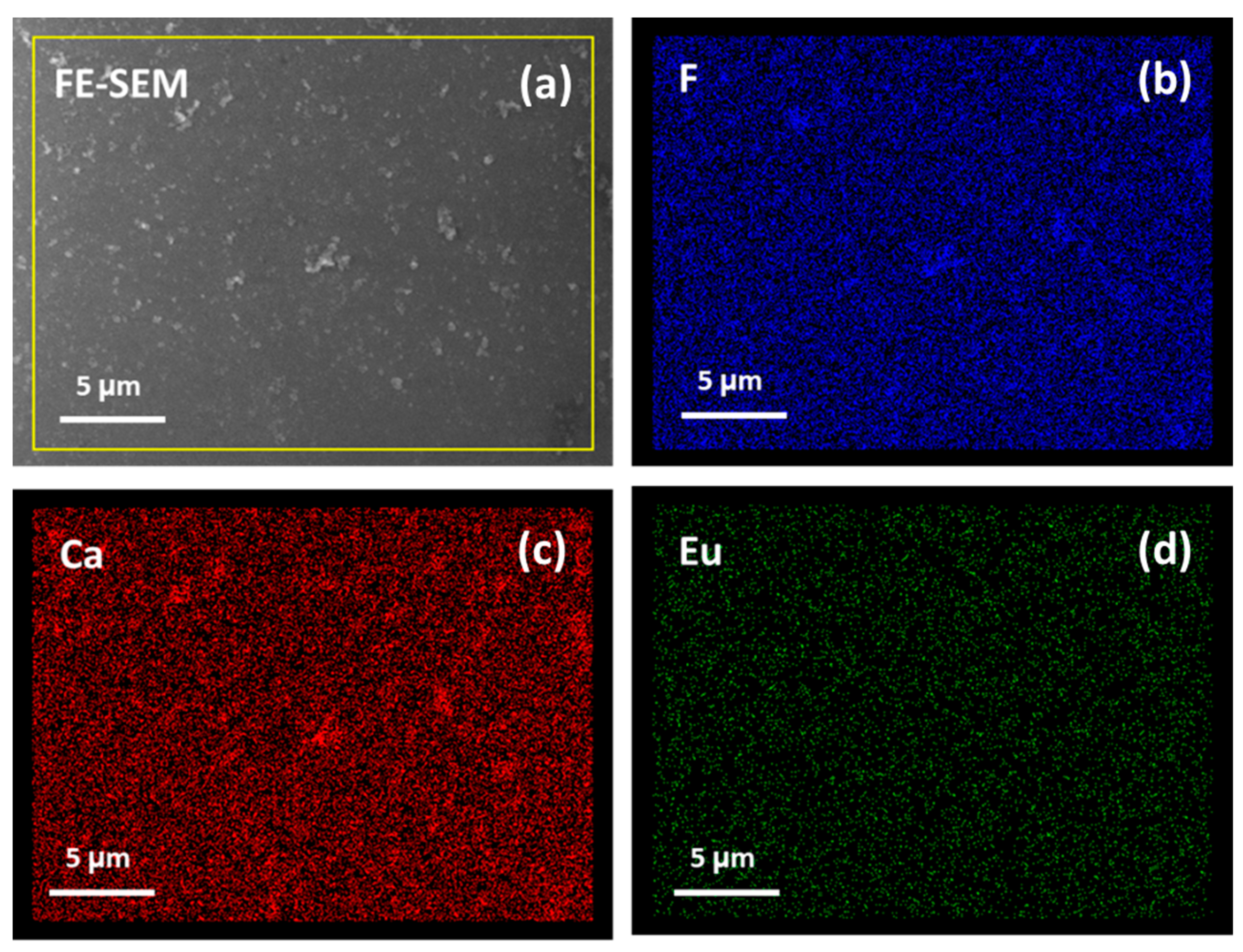 Materials 16 06889 g006