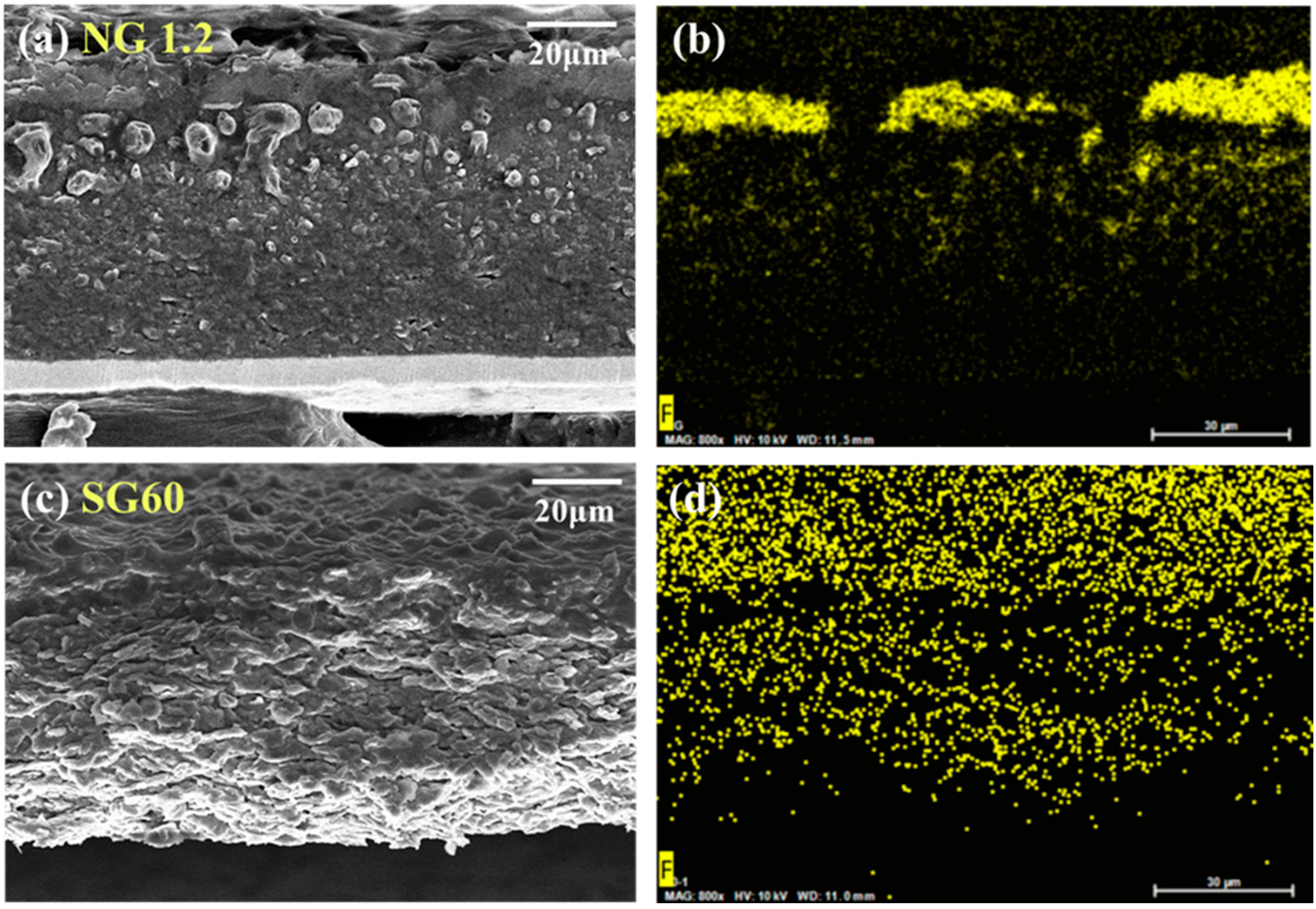 Materials 16 06896 g010