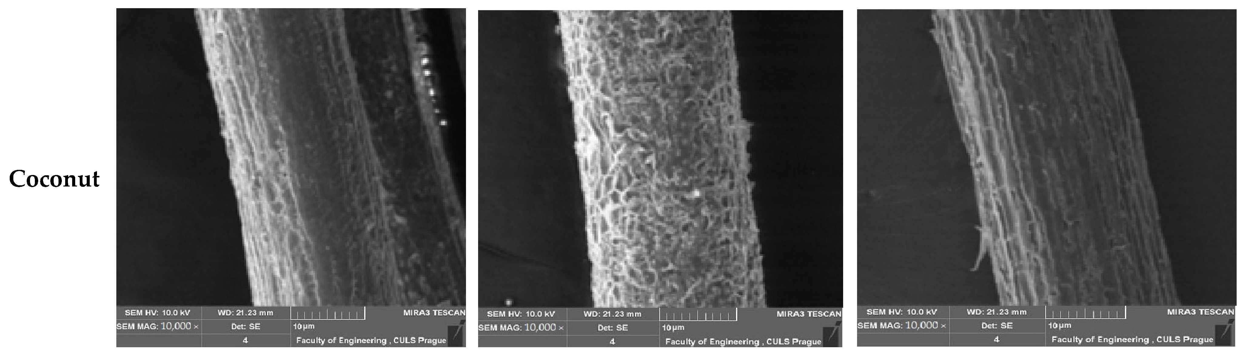 Materials 16 06905 g007b