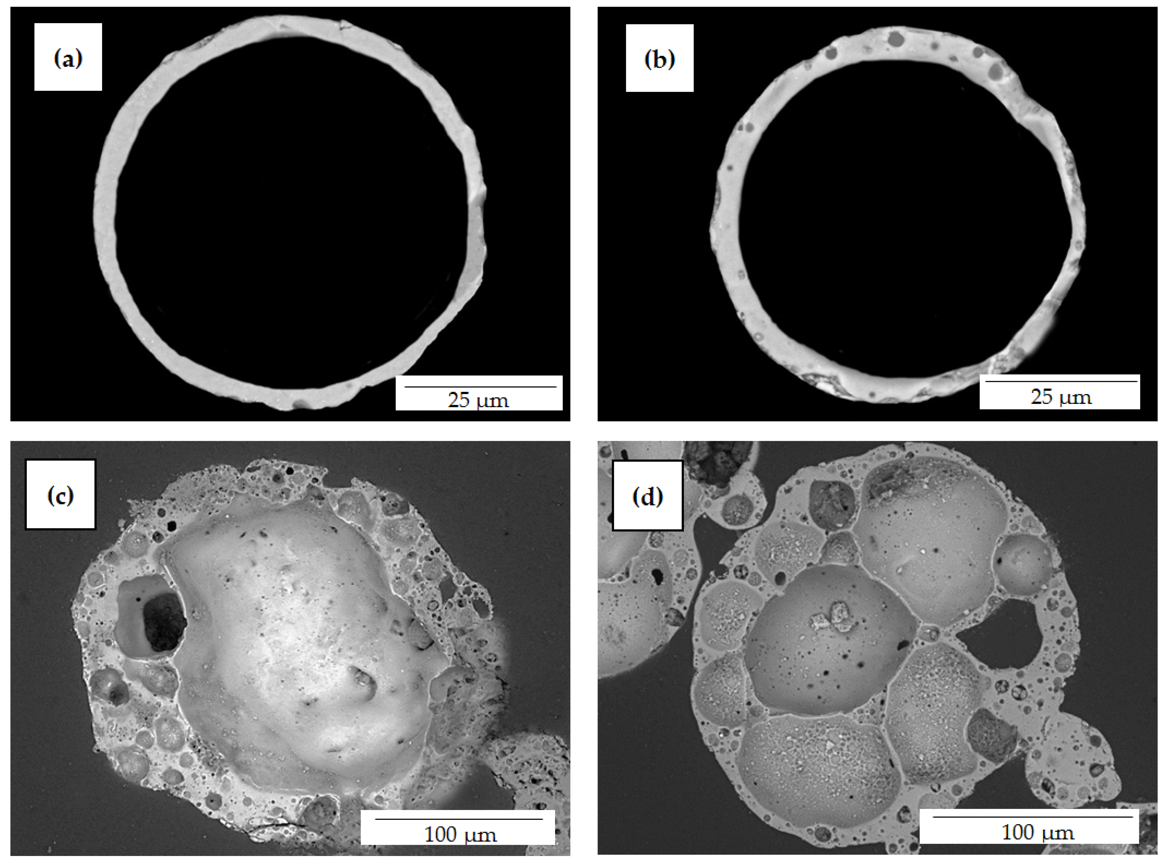 Materials 16 06913 g006