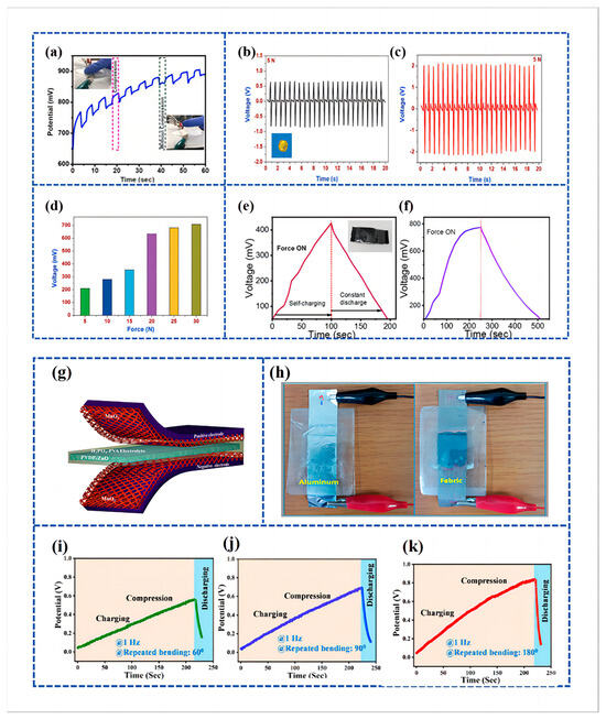 Materials 16 06916 g007