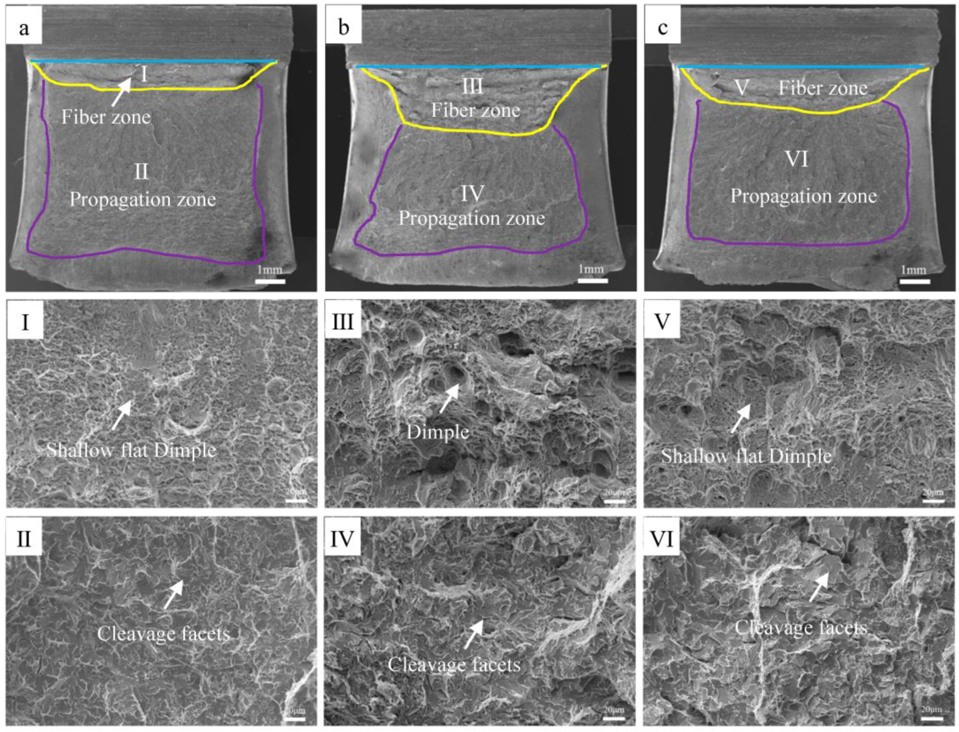 Materials 16 06921 g007