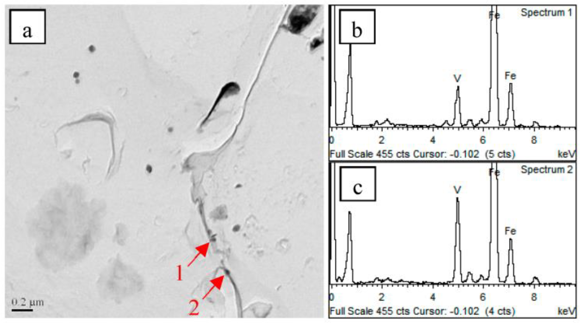 Materials 16 06921 g010
