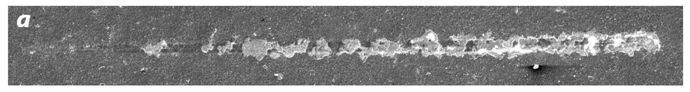 Materials 16 06930 g006a