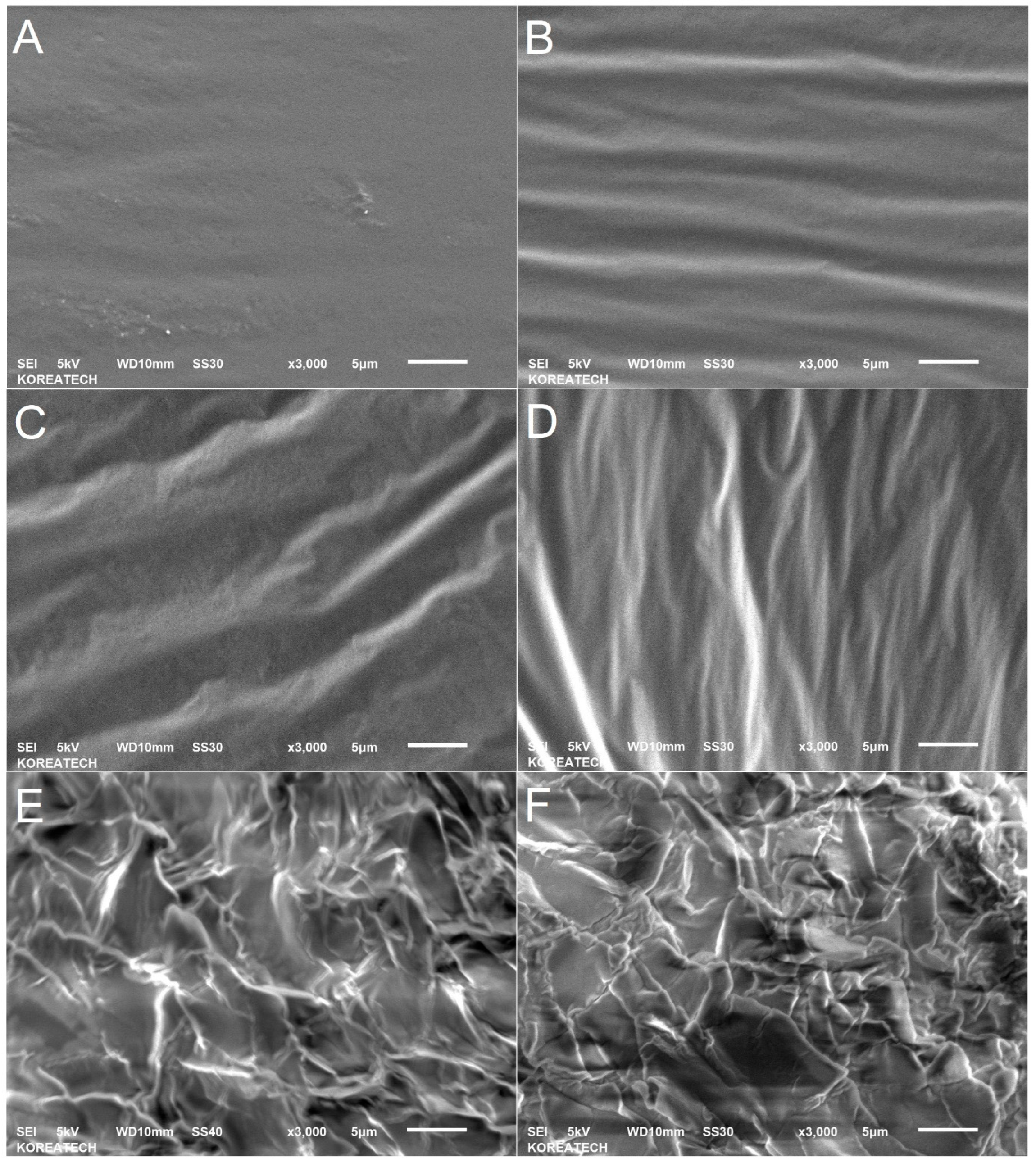 Materials 16 06934 g006