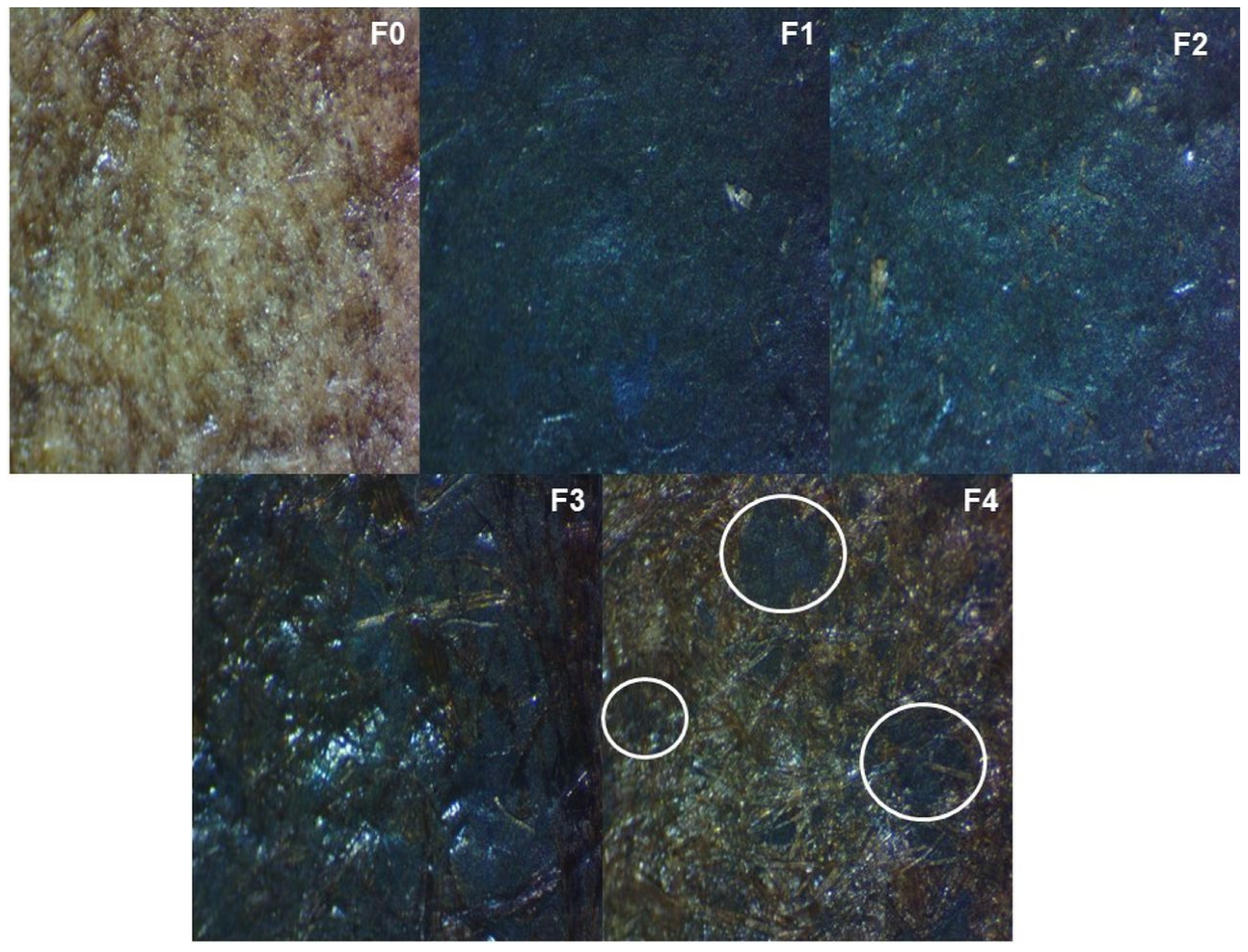 Materials 16 06936 g003