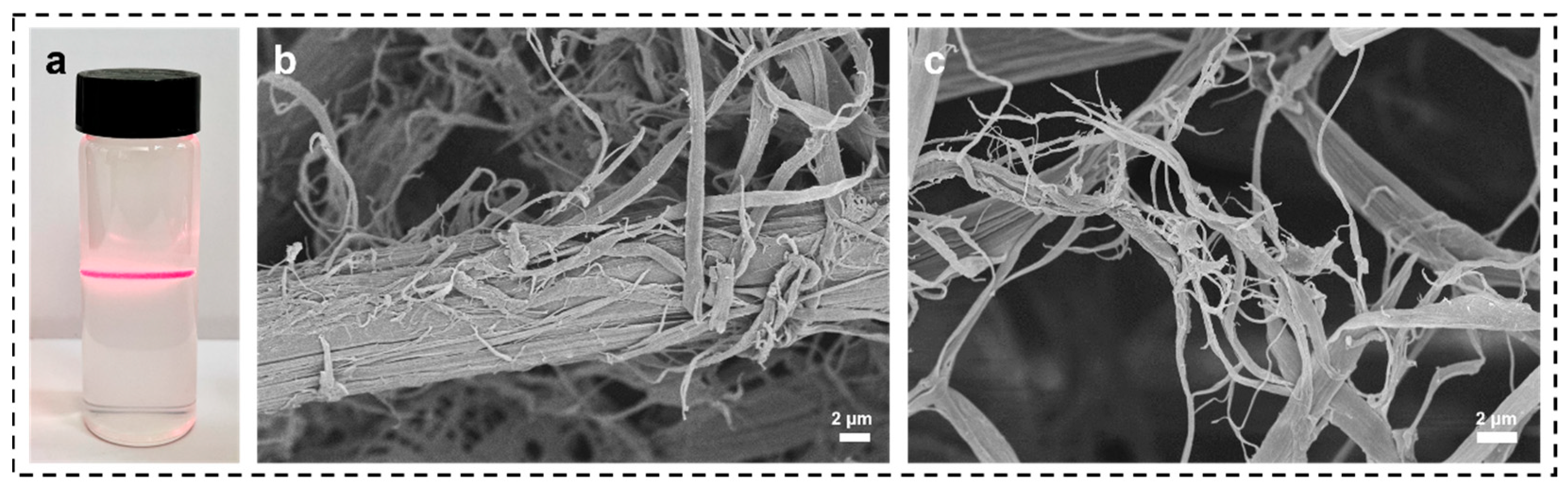 Materials 16 06960 g005