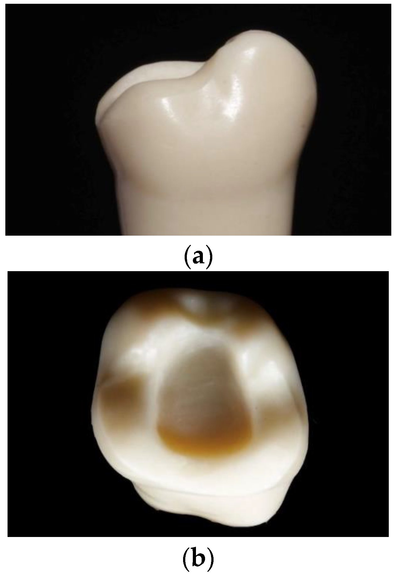 Materials 16 06962 g002