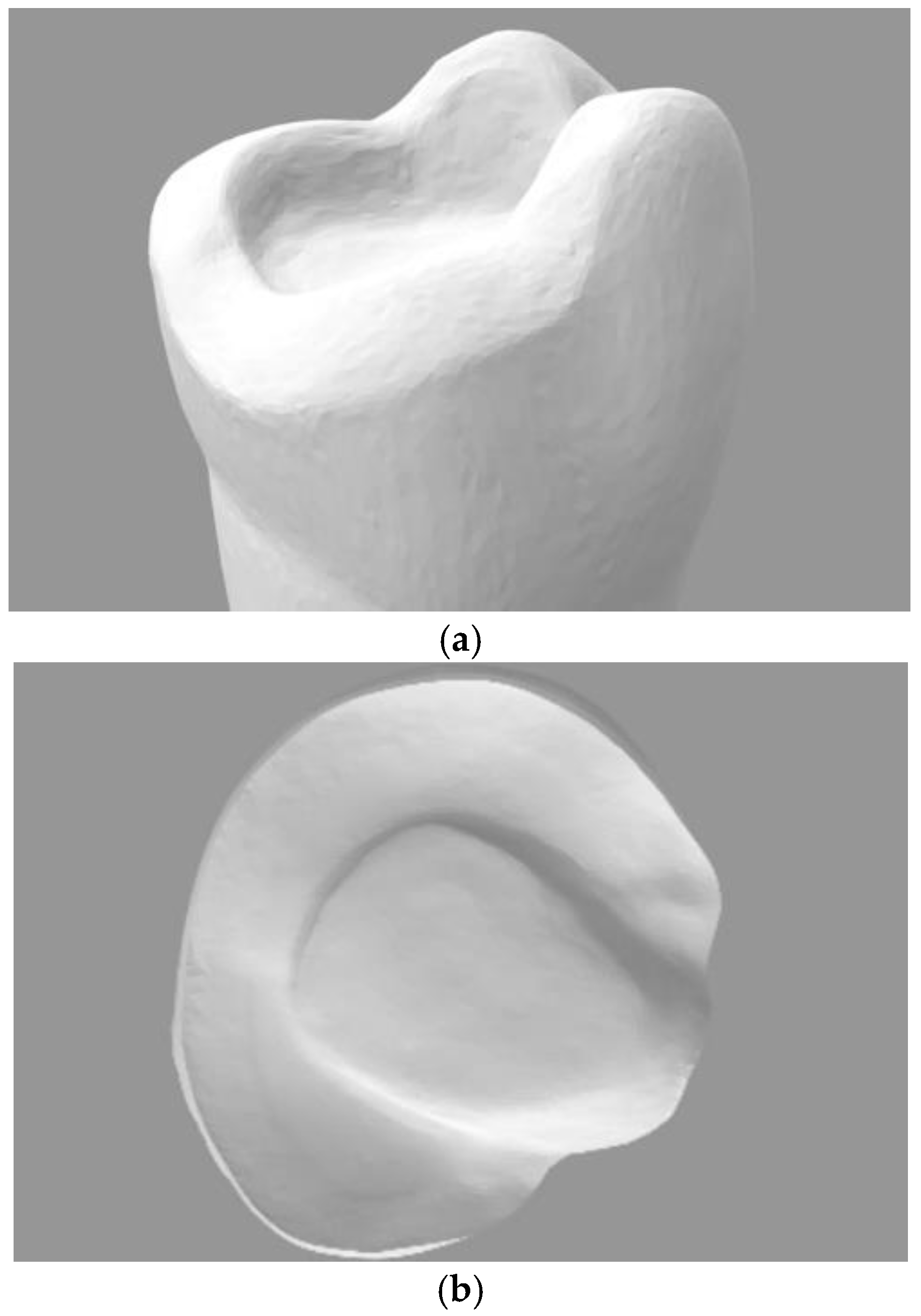 Materials 16 06962 g003