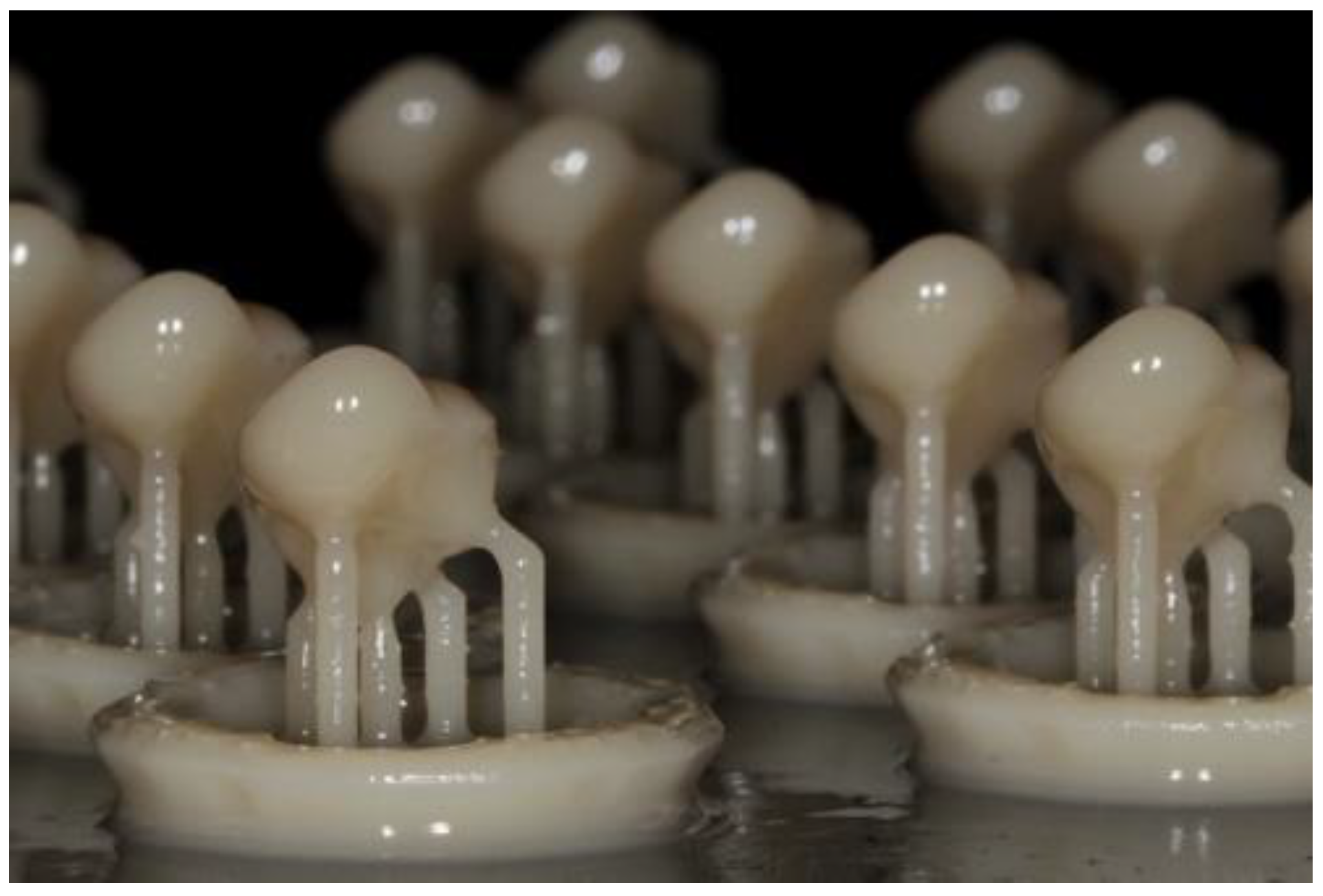 Materials 16 06962 g005