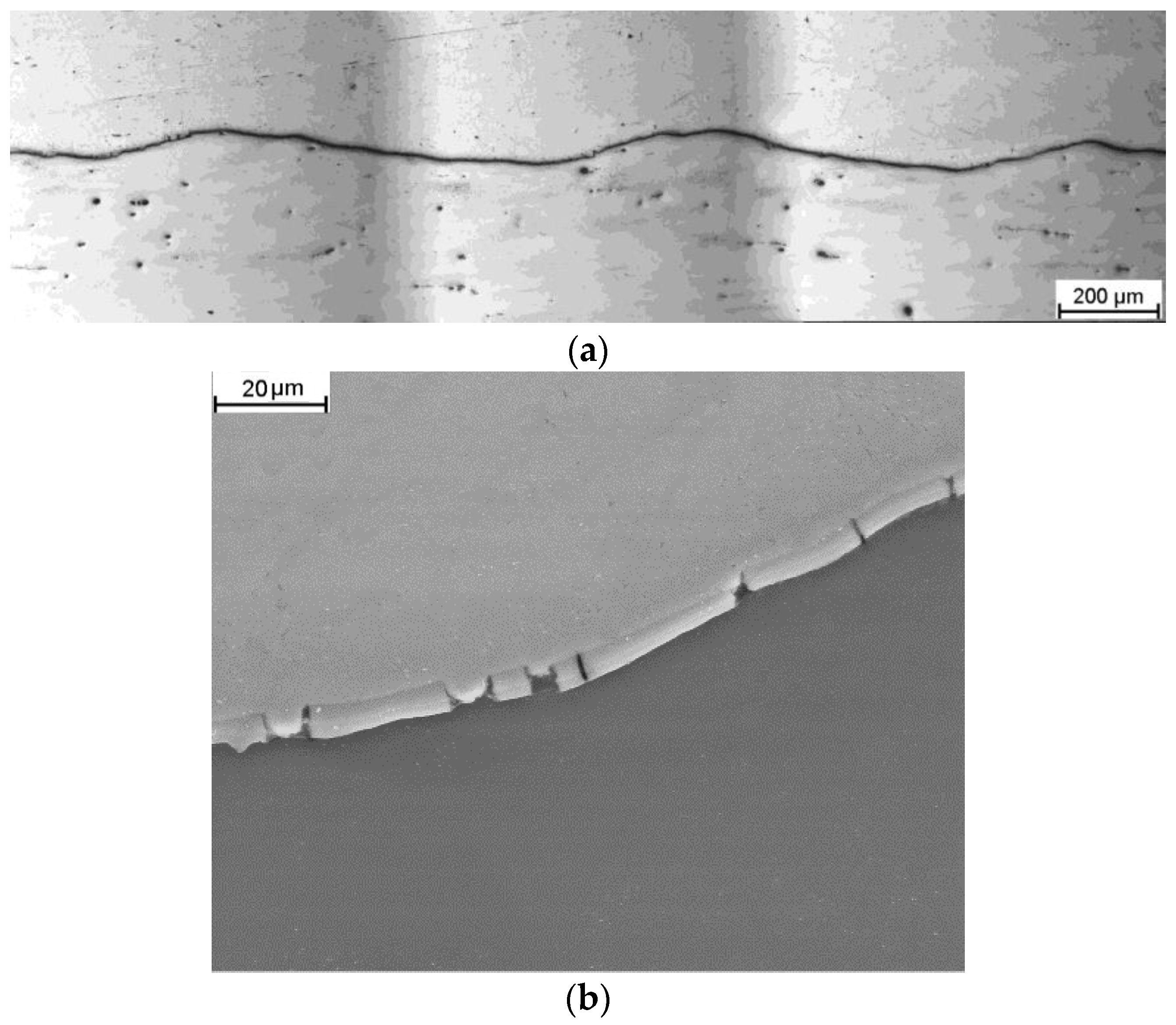 Materials 16 06971 g006