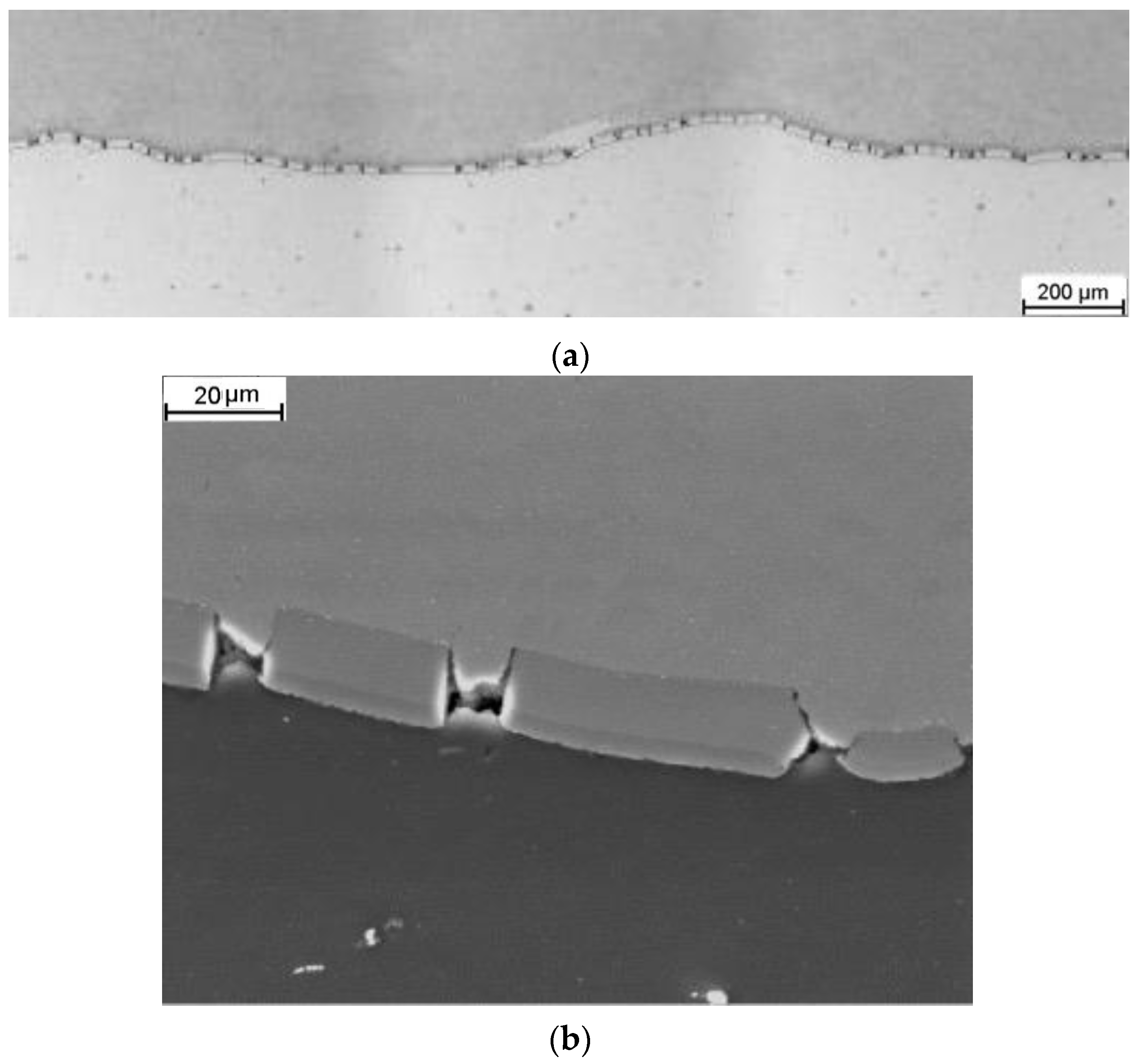 Materials 16 06971 g007