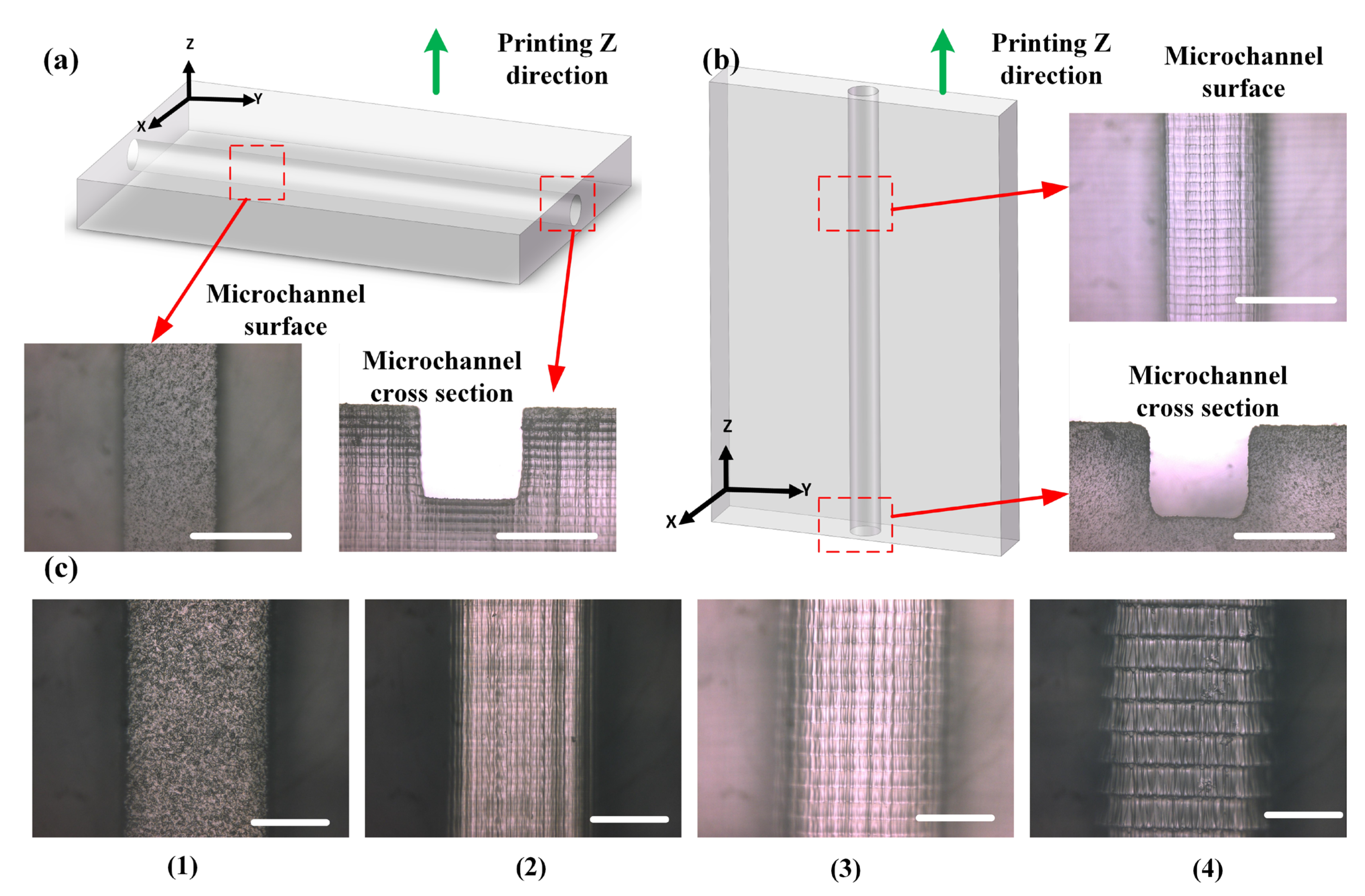 Materials 16 06984 g005