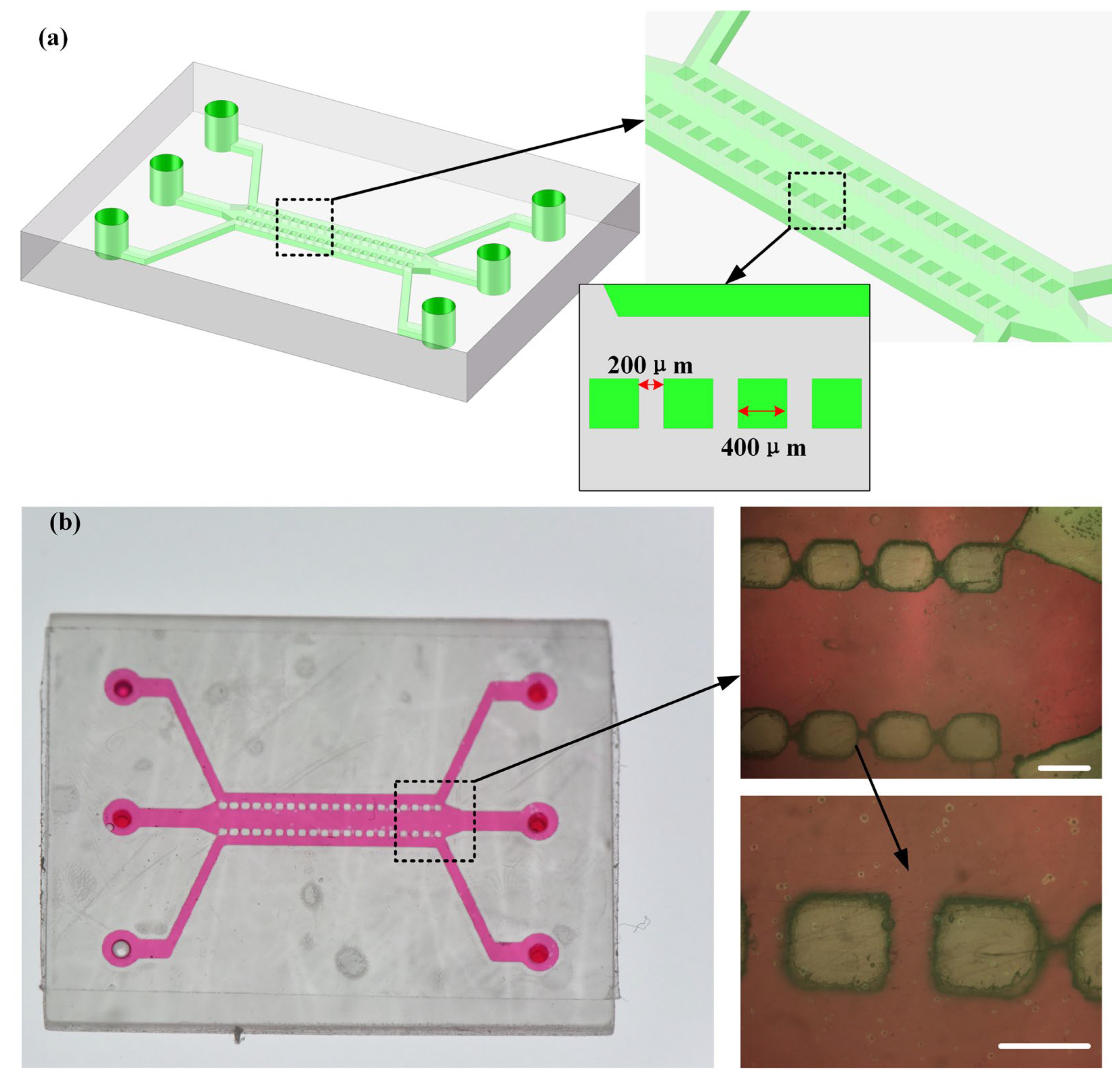Materials 16 06984 g009