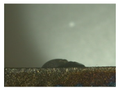 Materials 16 06985 i012