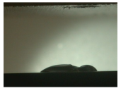 Materials 16 06985 i033