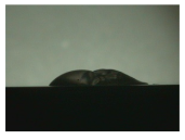 Materials 16 06985 i039