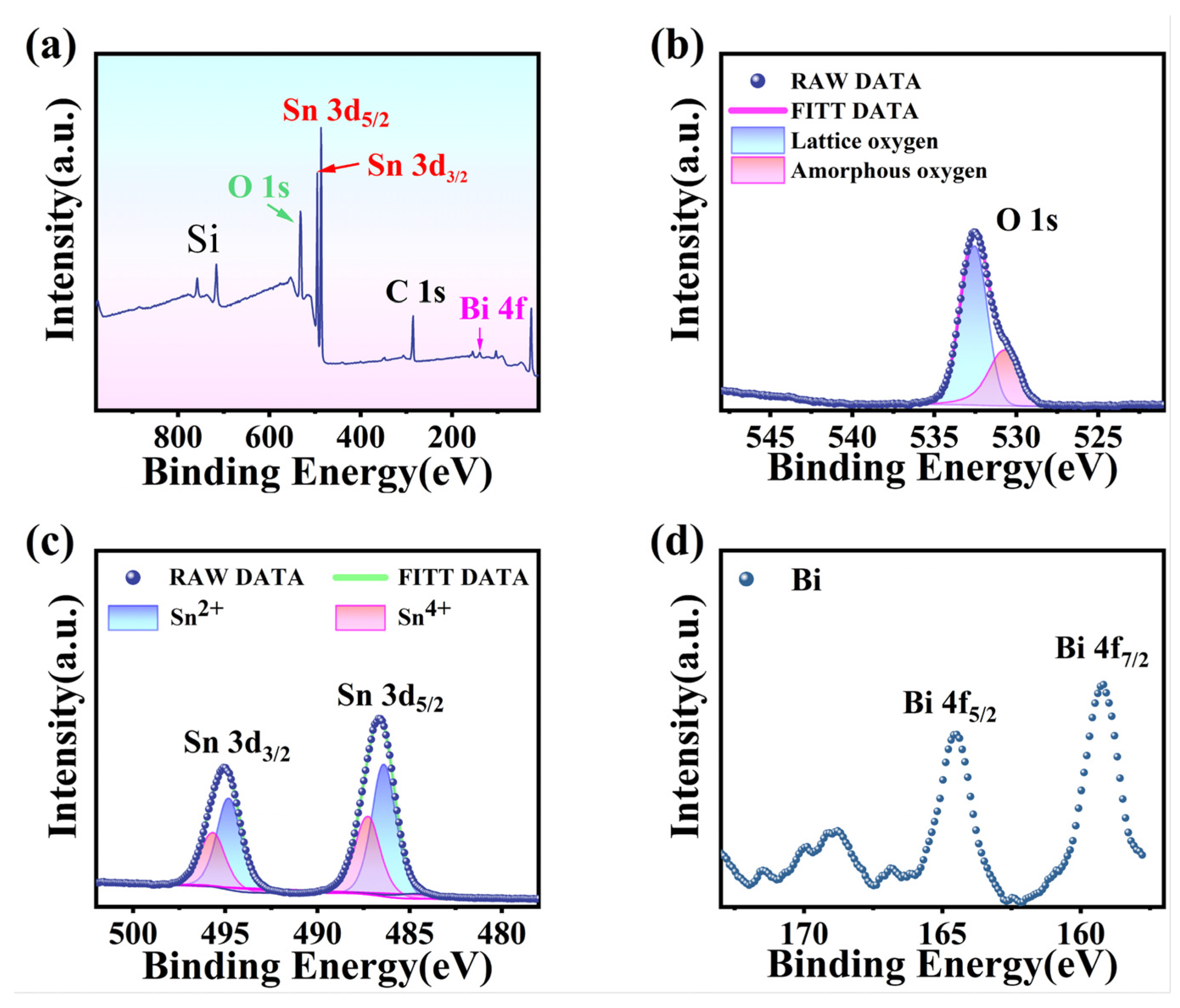 Materials 16 06988 g004