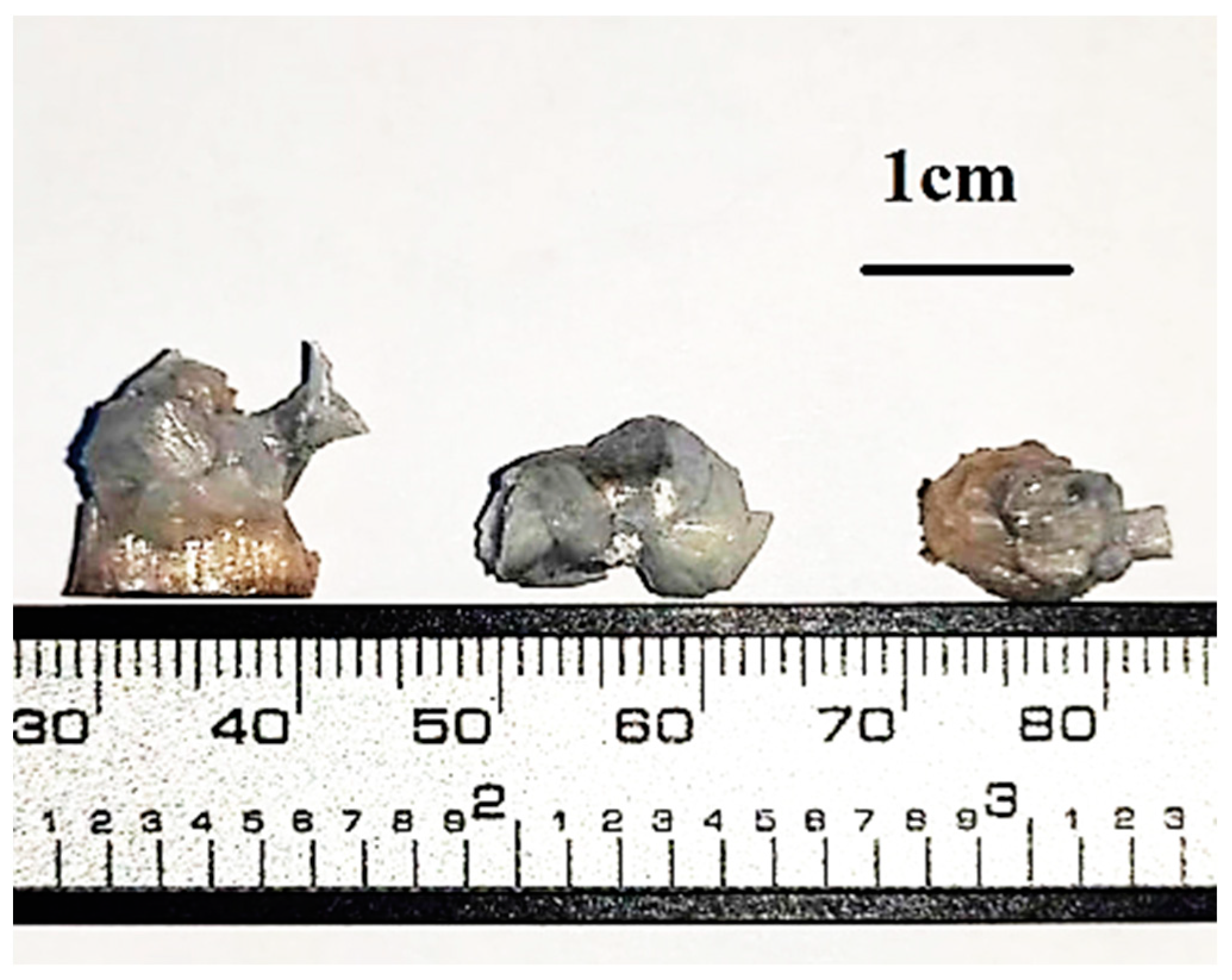 Materials 16 06997 g001