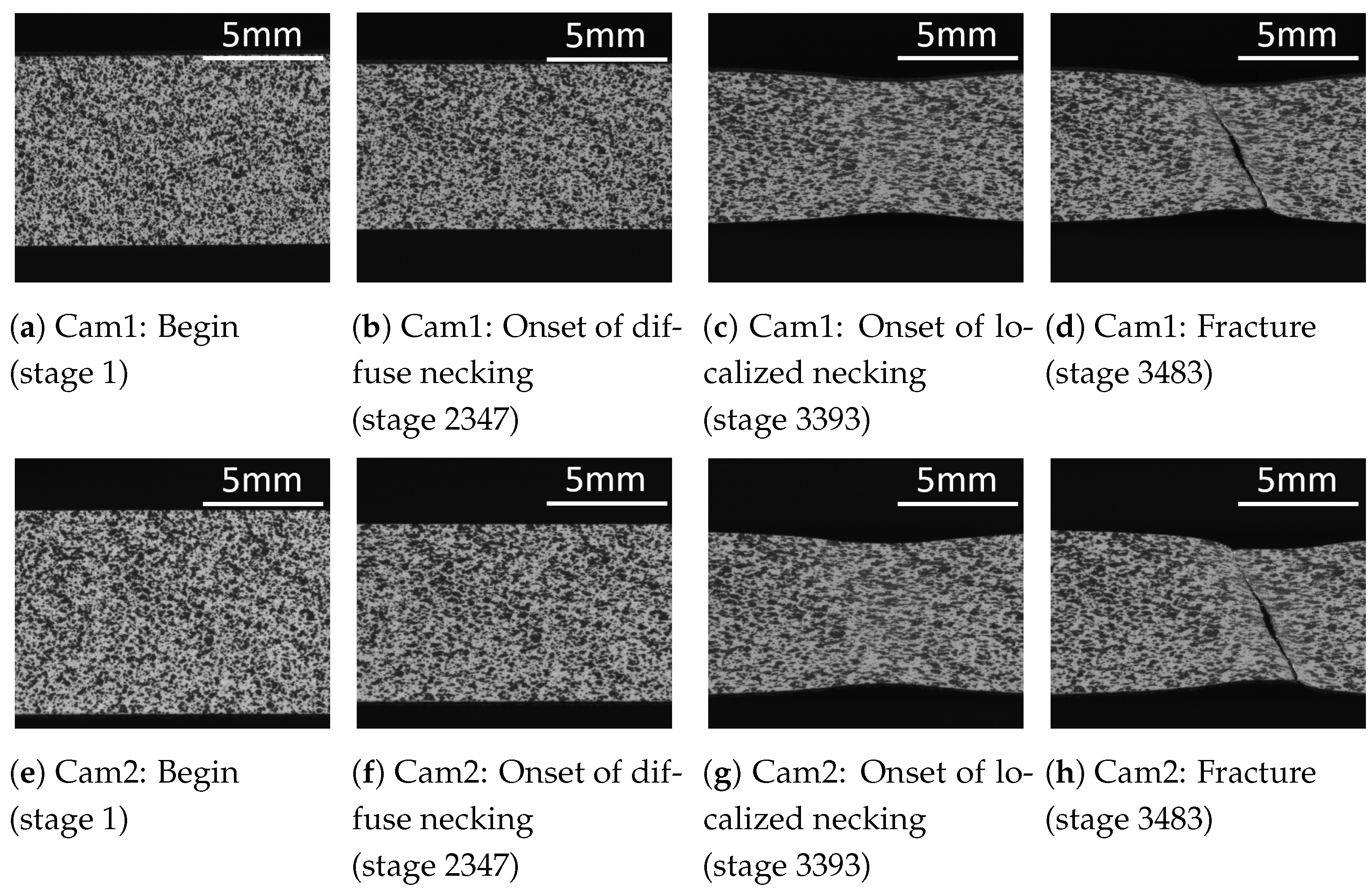 Materials 16 07001 g015