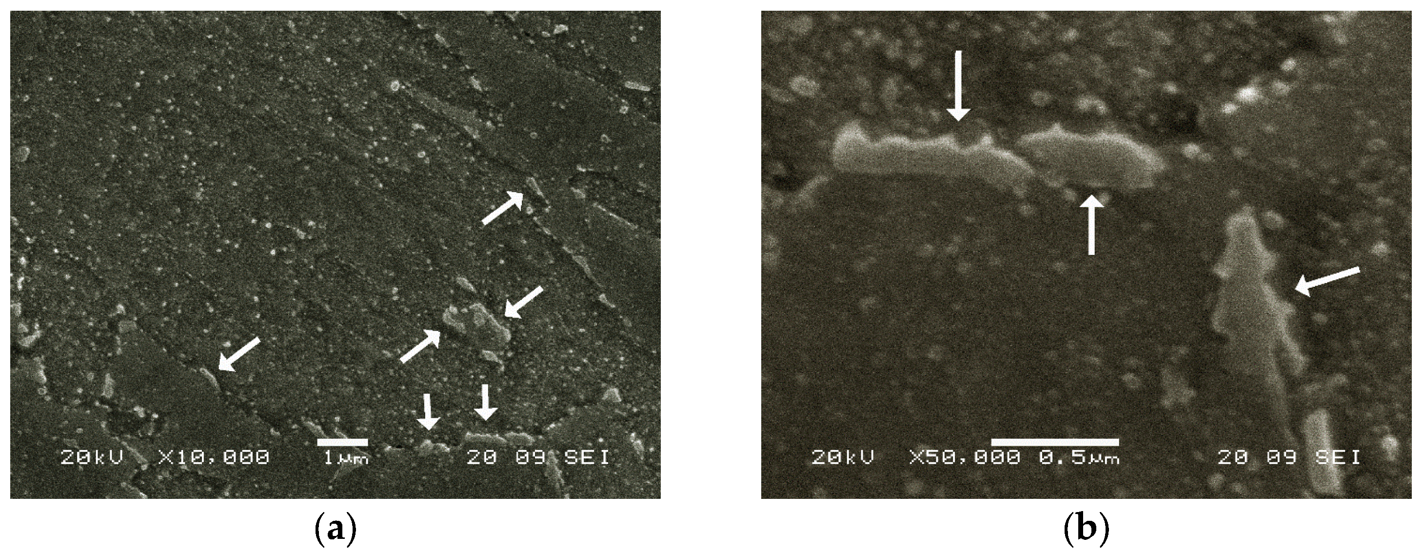 Materials 16 07008 g004