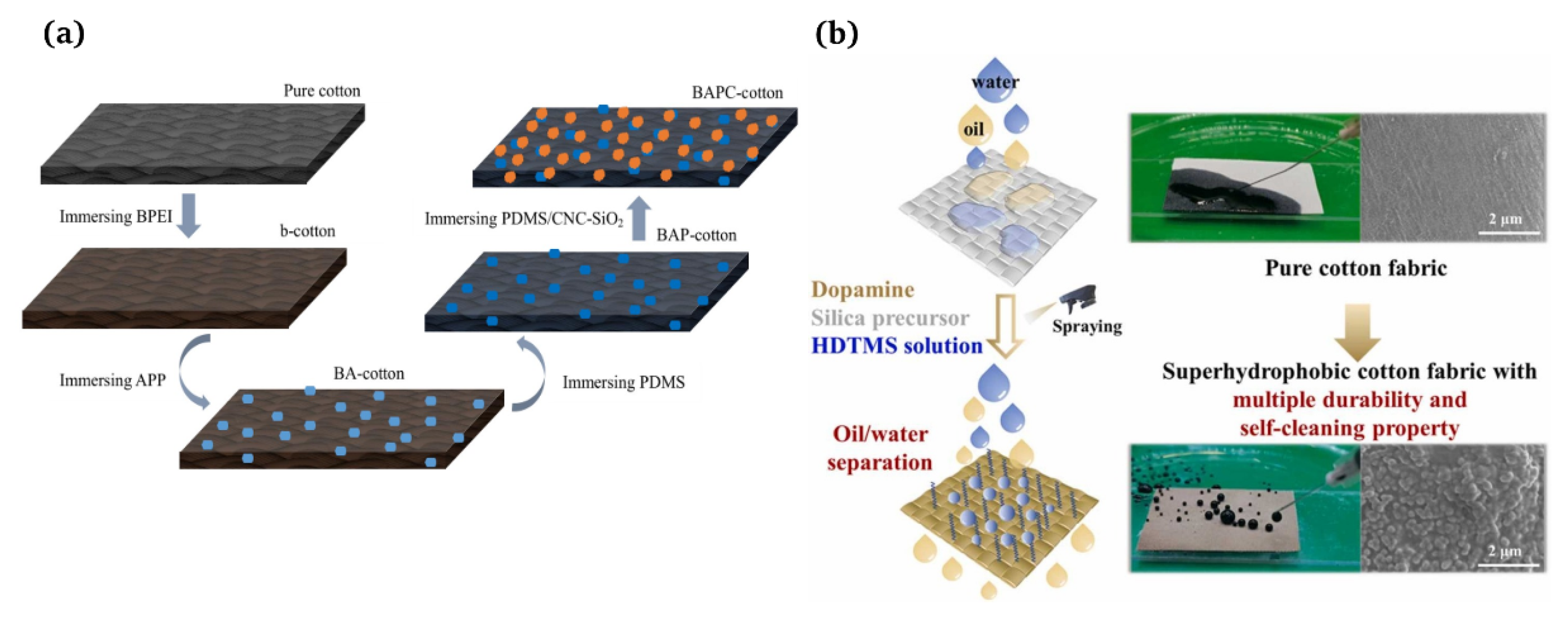 Materials 16 07015 g007