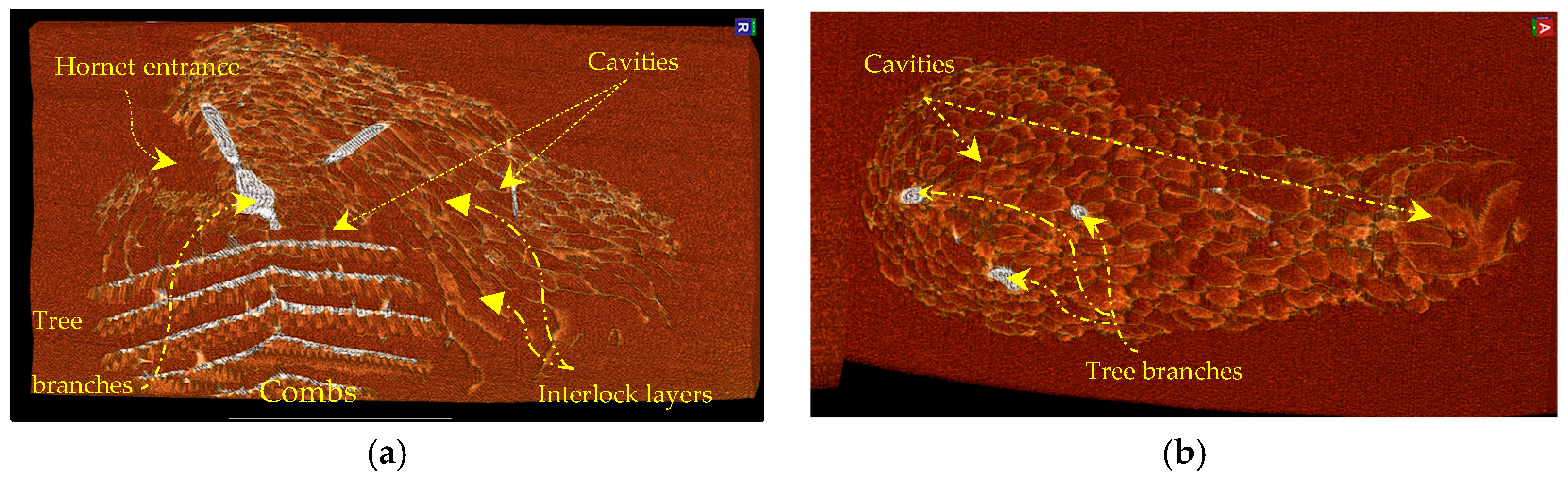 Materials 16 07027 g005