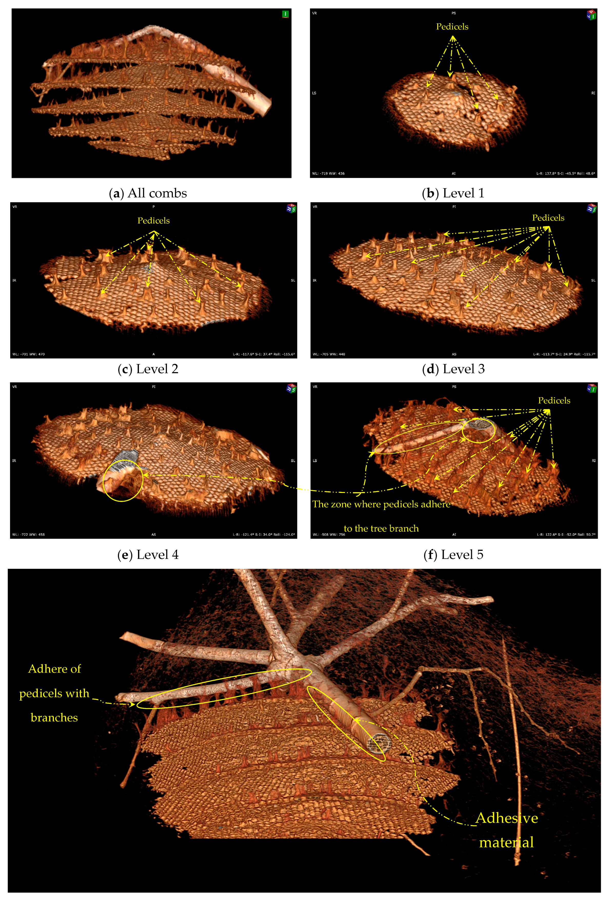 Materials 16 07027 g006