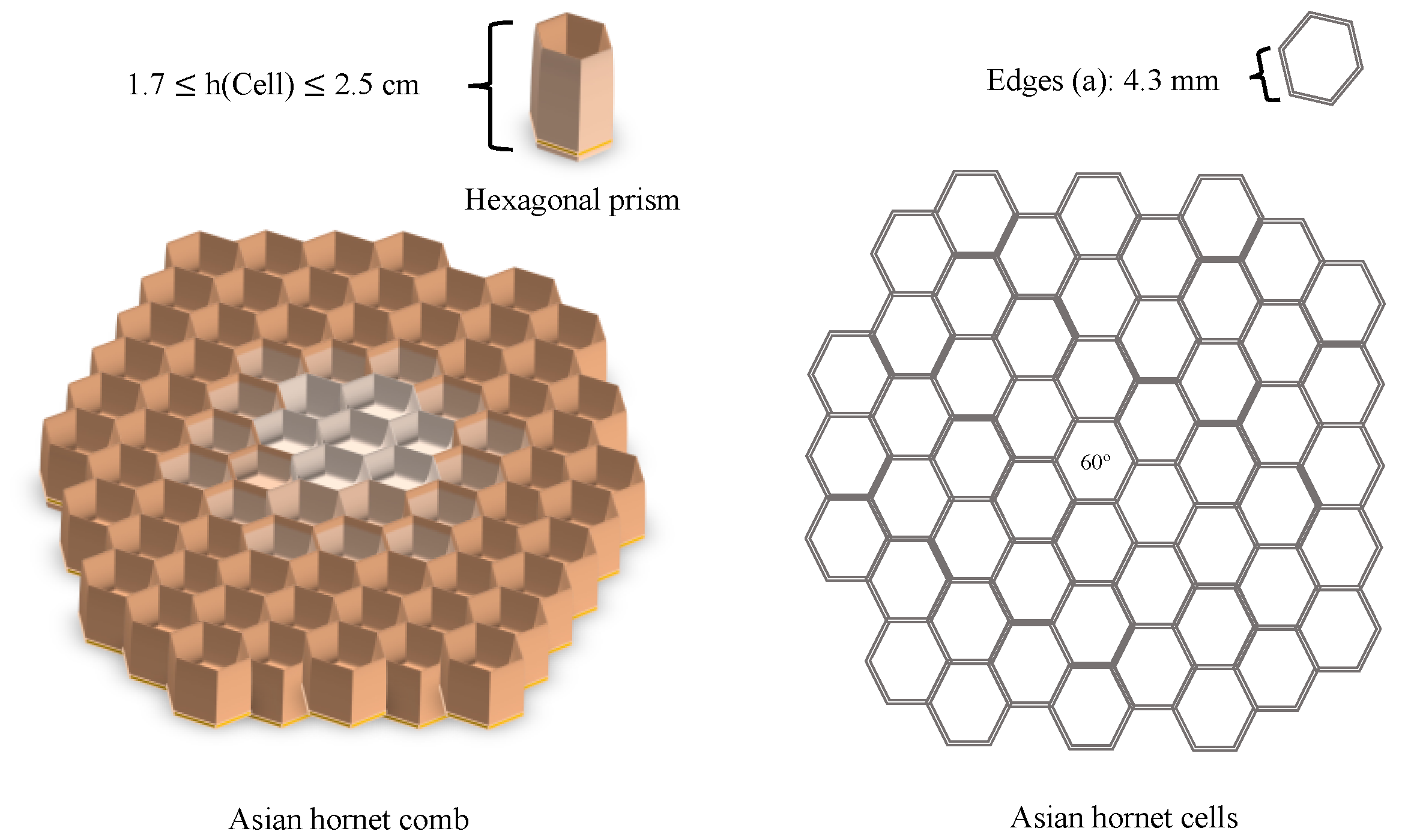 Materials 16 07027 g009