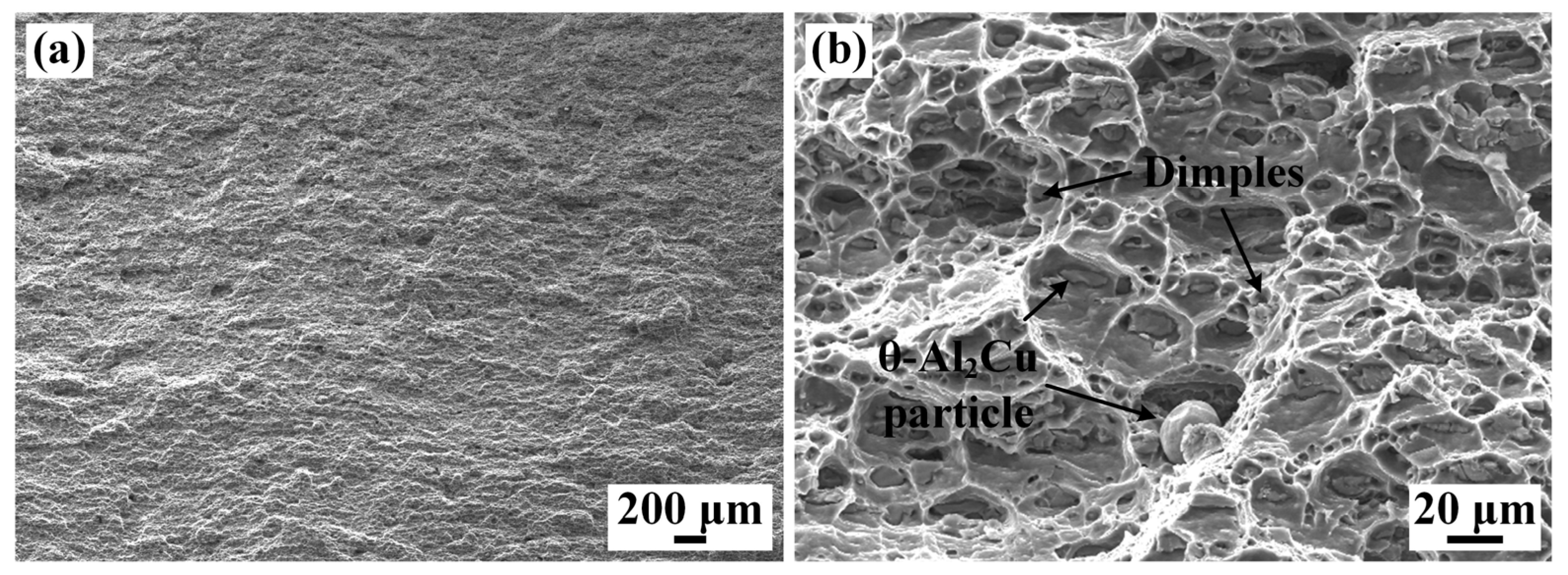 Materials 16 07028 g016